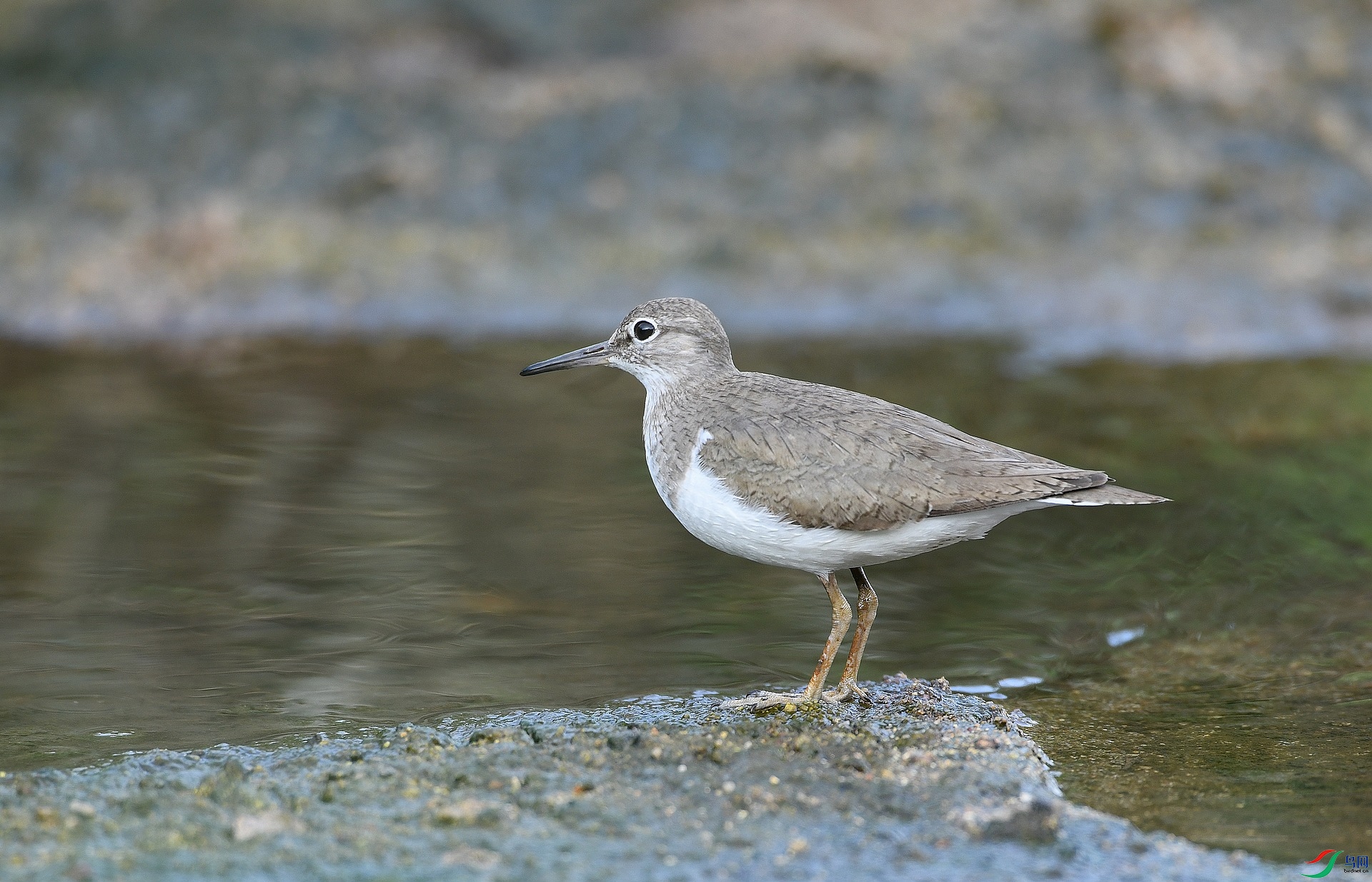 DSC_5250.jpg
