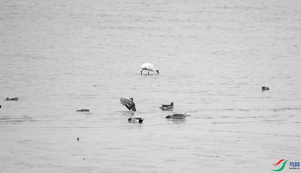 DSCF3973.1.jpg