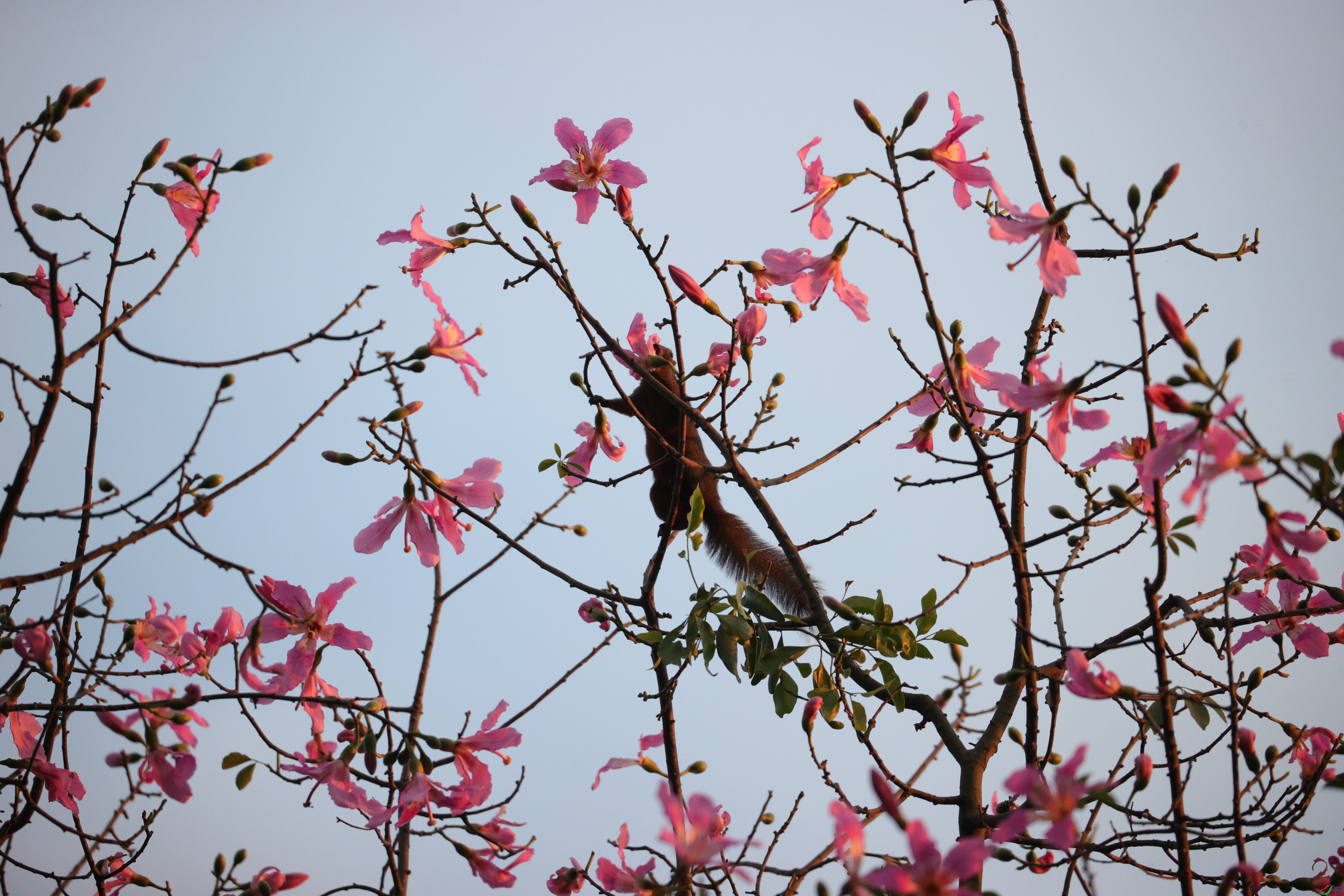 3401��ש����