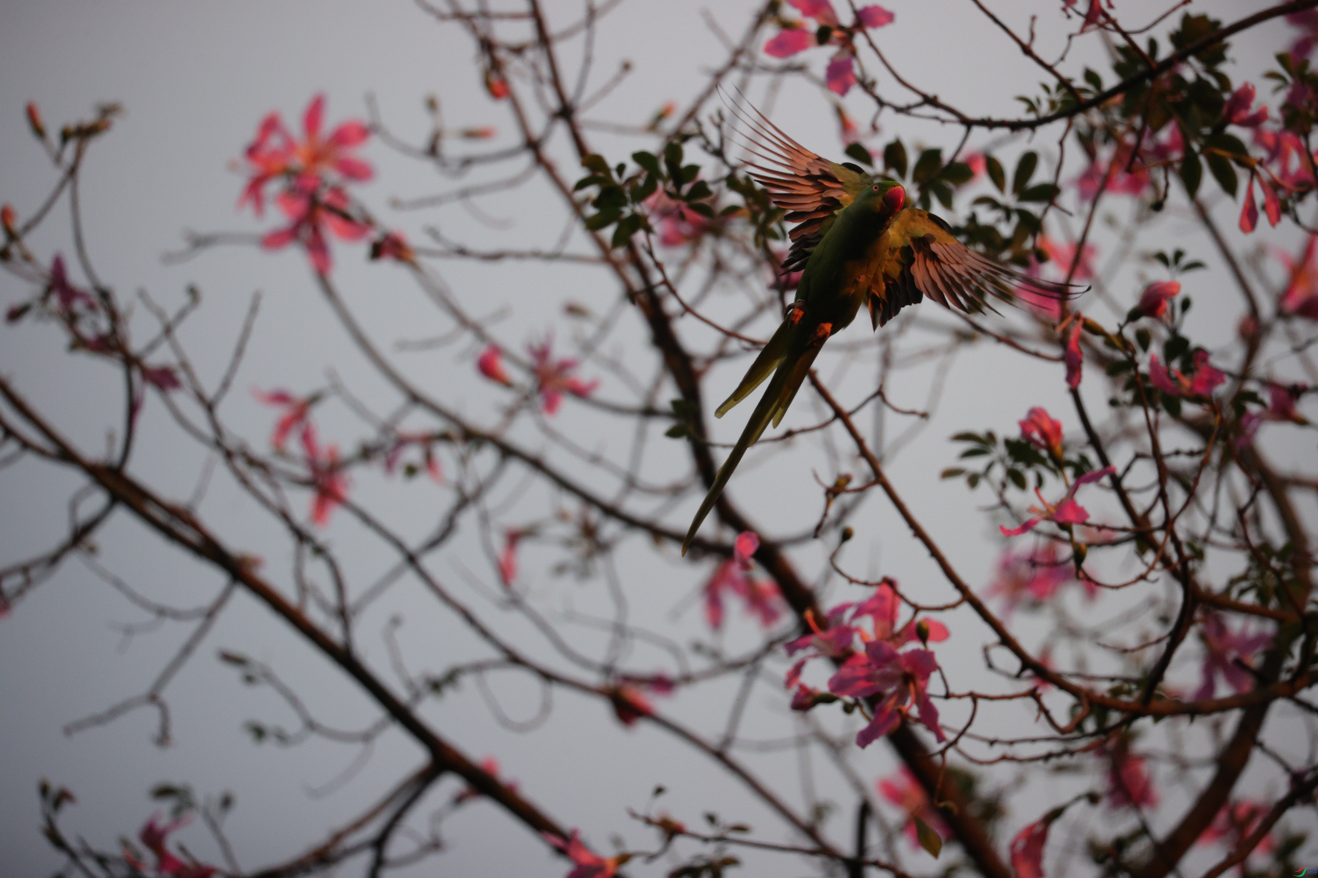 3404��ש����