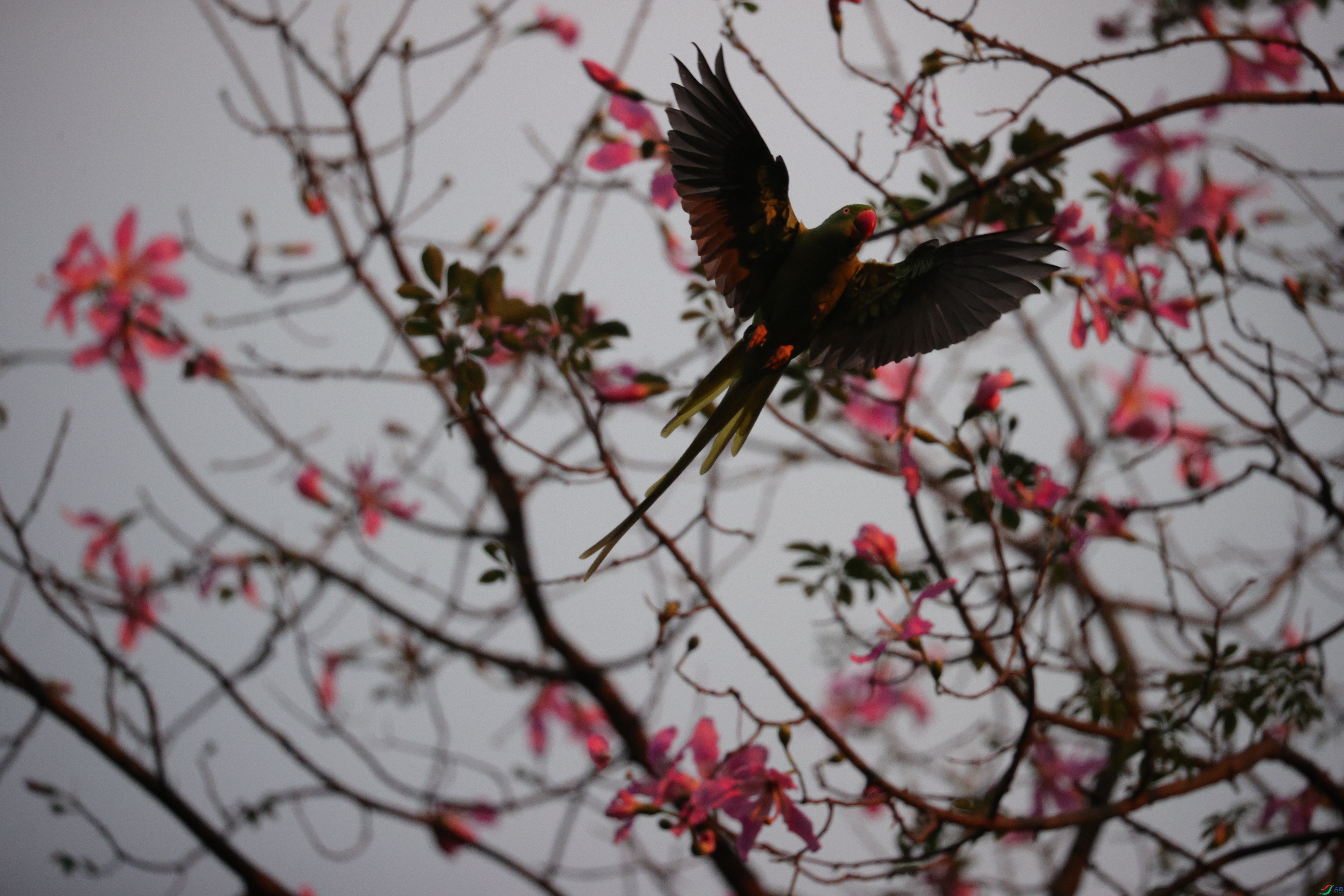 3405��ש����