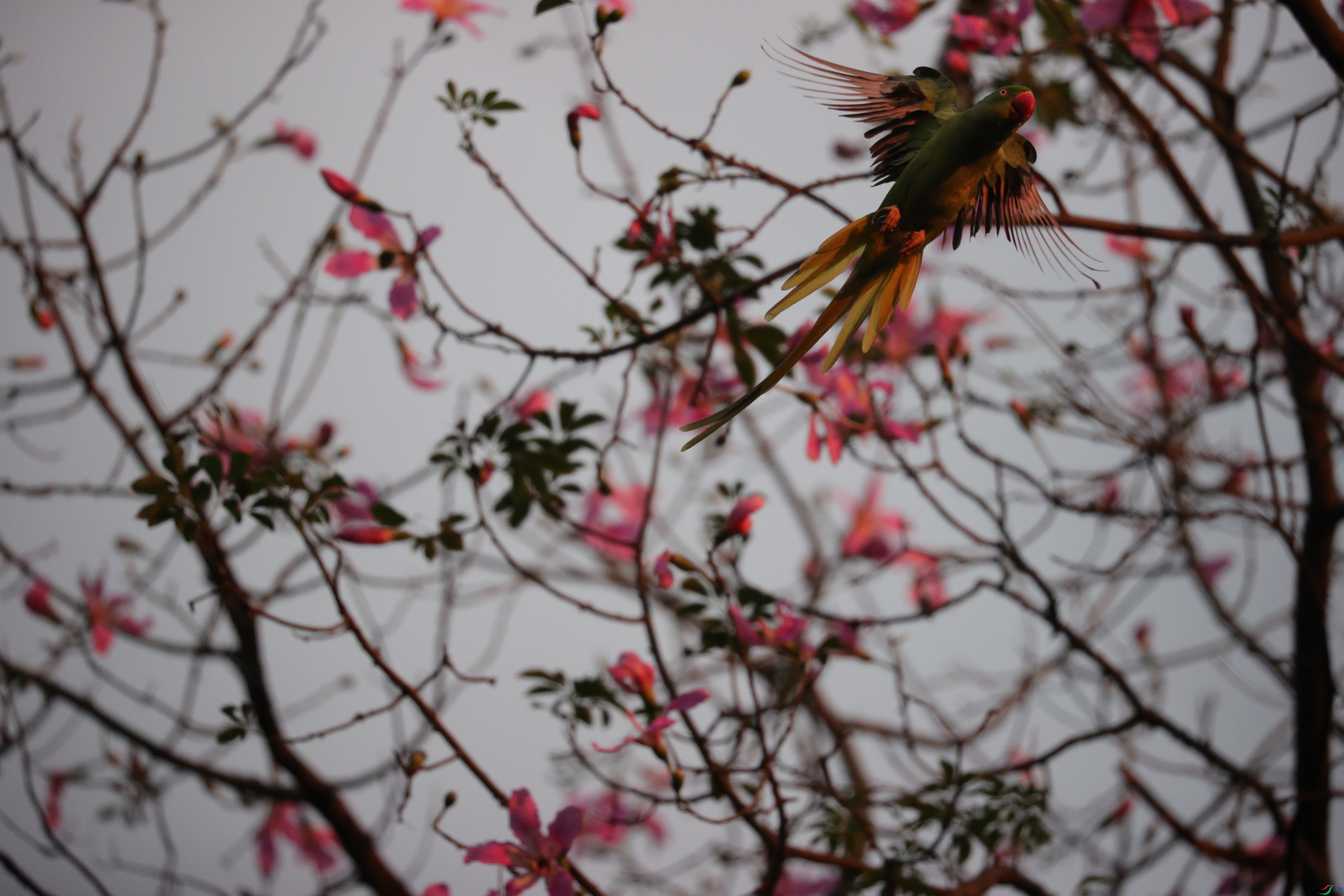 3407��ש����