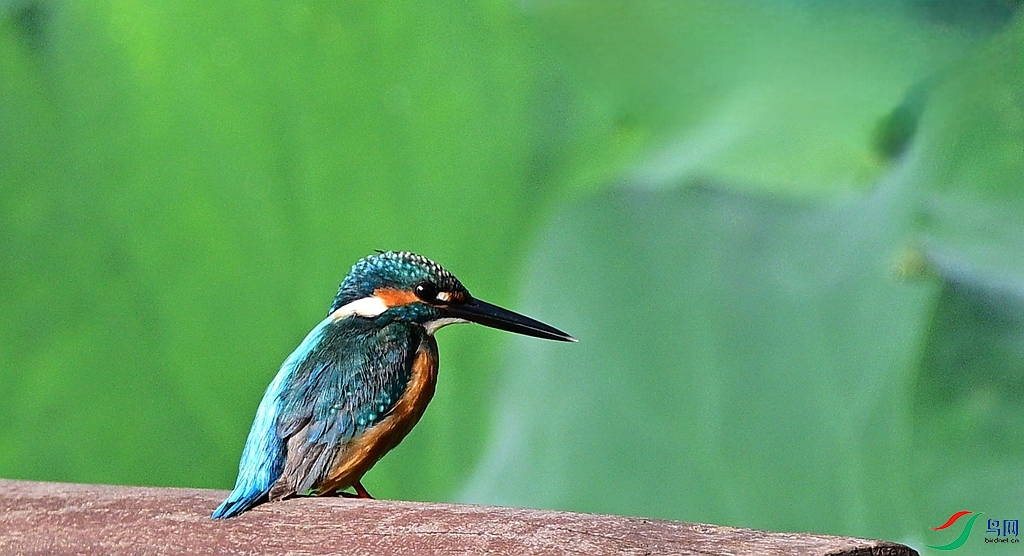 DSC_5420.JPG