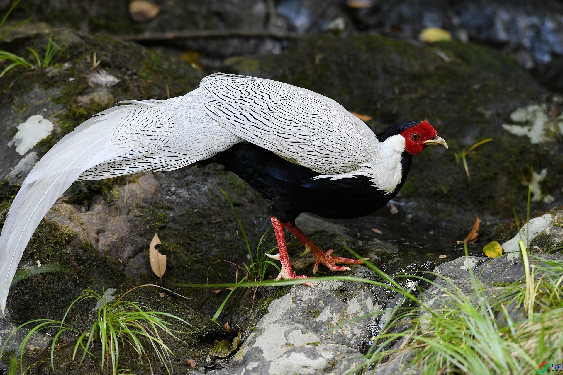 DSC_3912.jpg