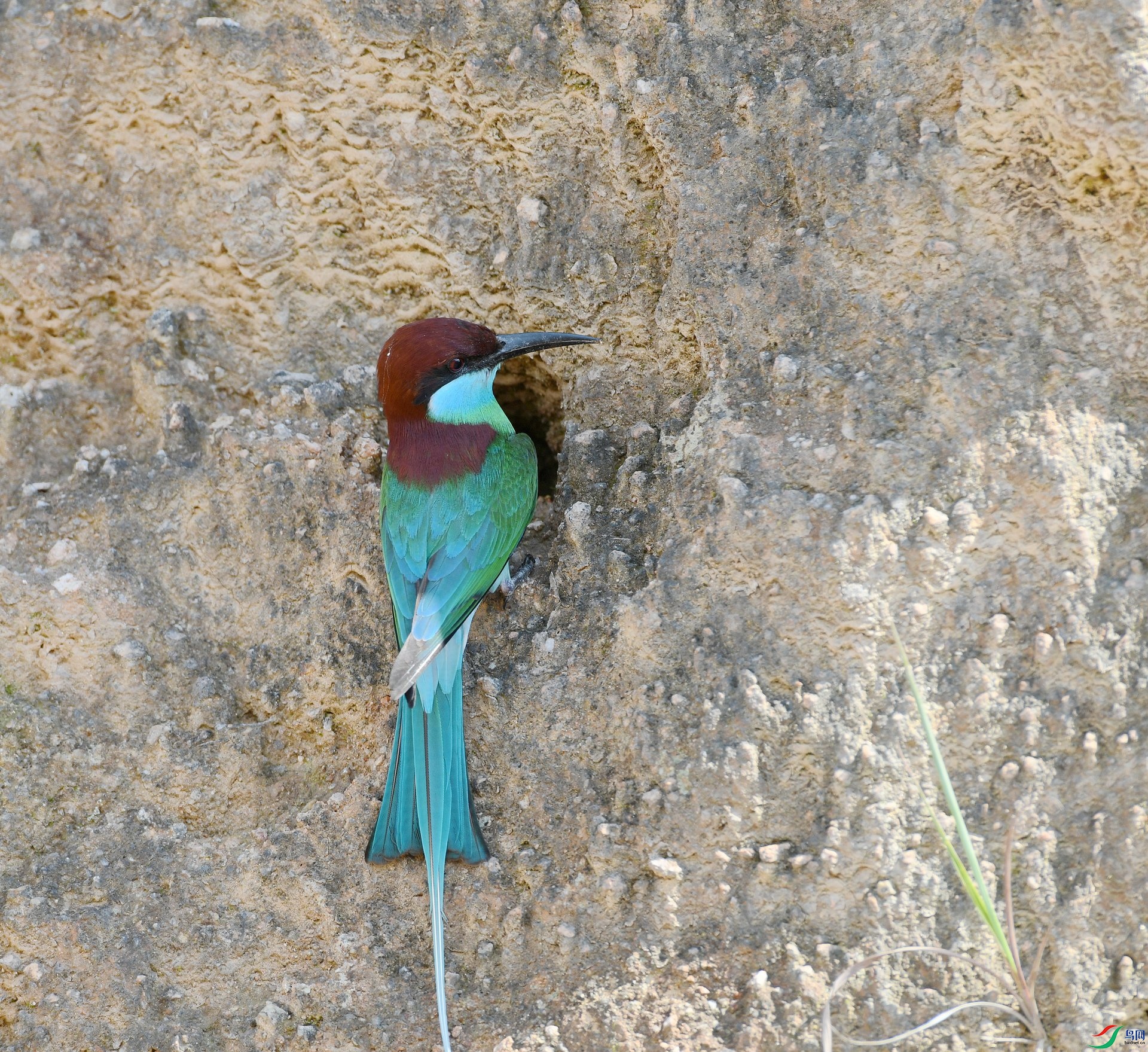 DSC_3904.jpg