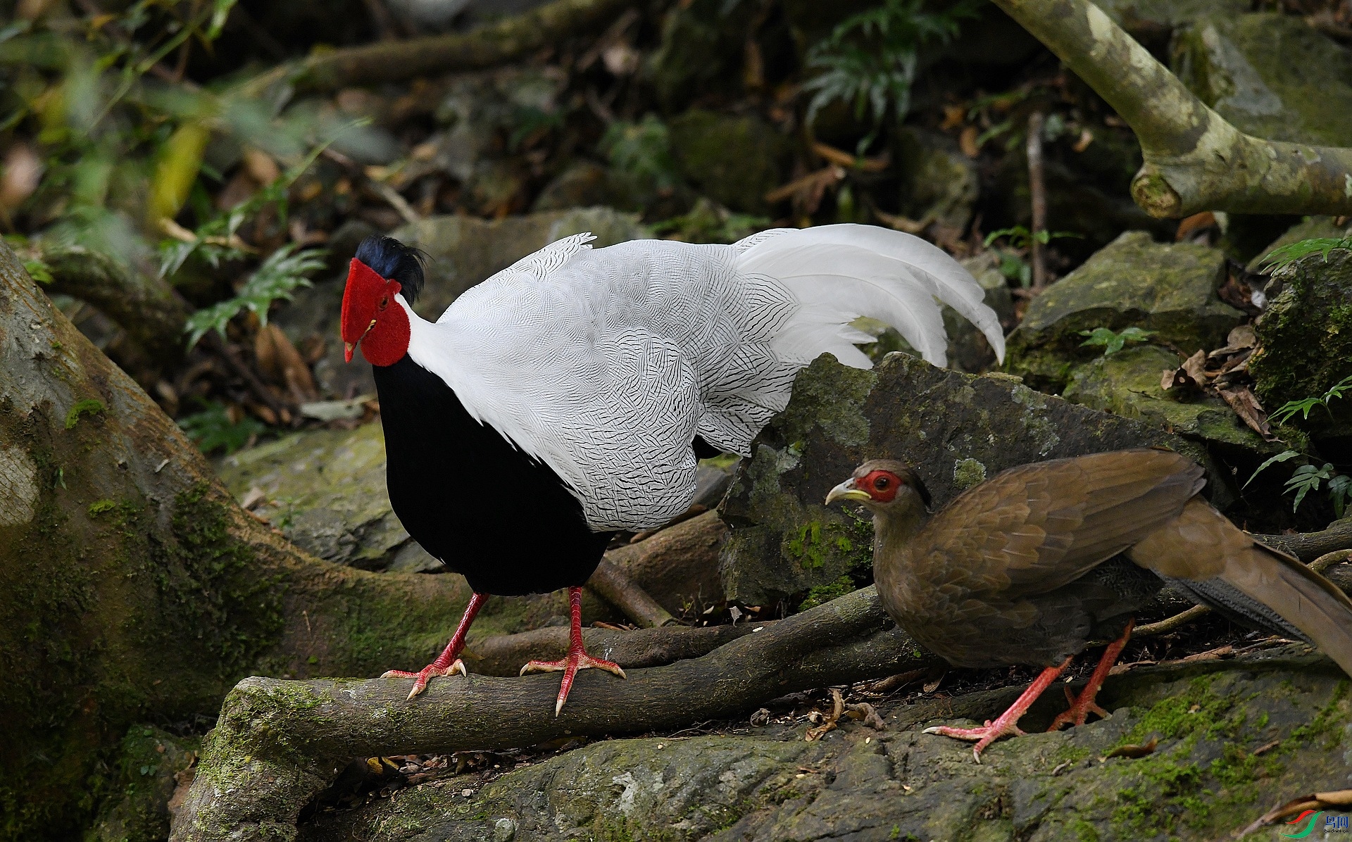 DSC_2540.jpg