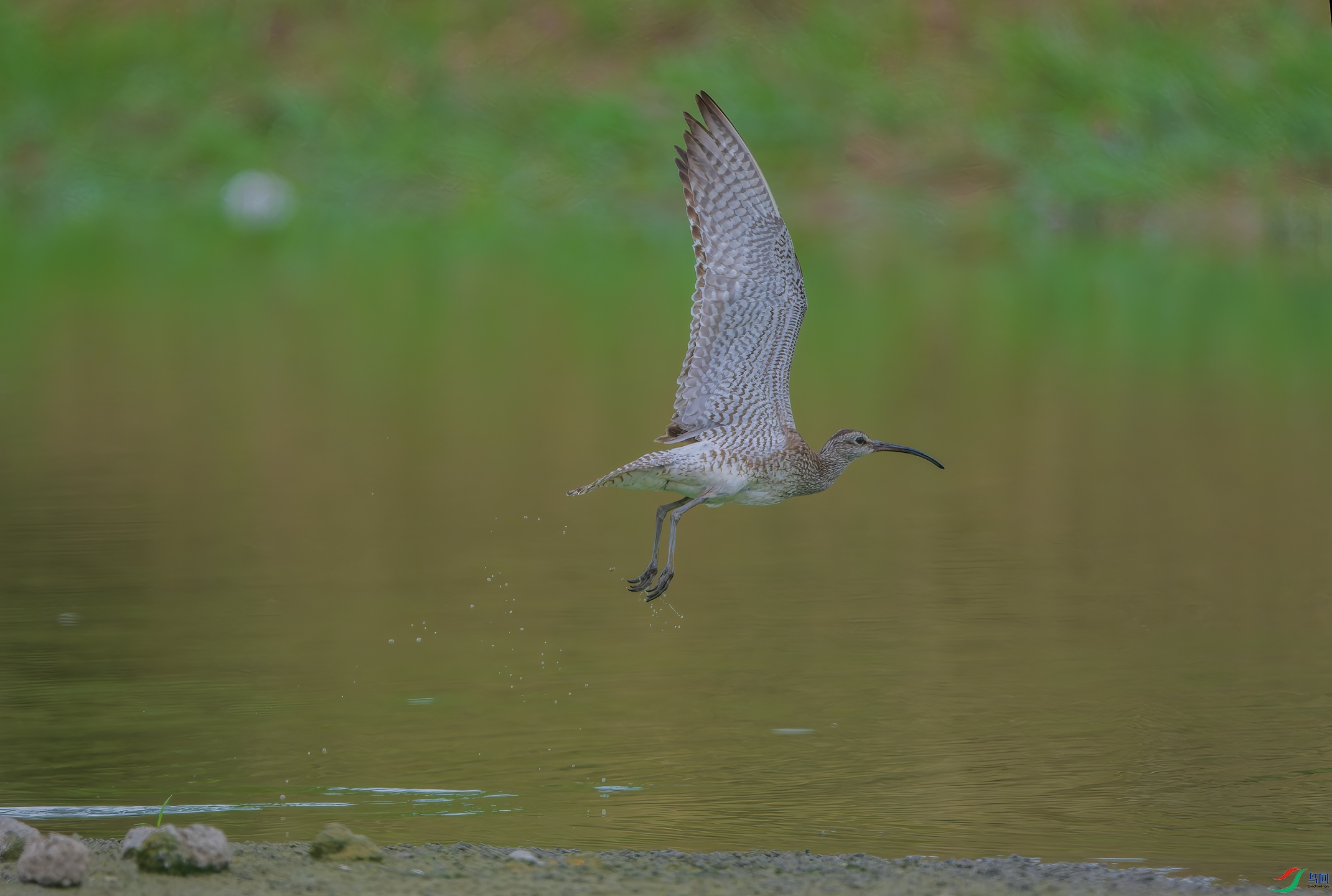 _DSC7023-NEF.jpg