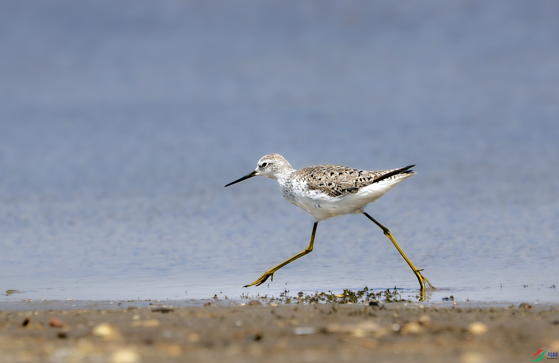 DSC05107-����ǿ-NR ����.jpg