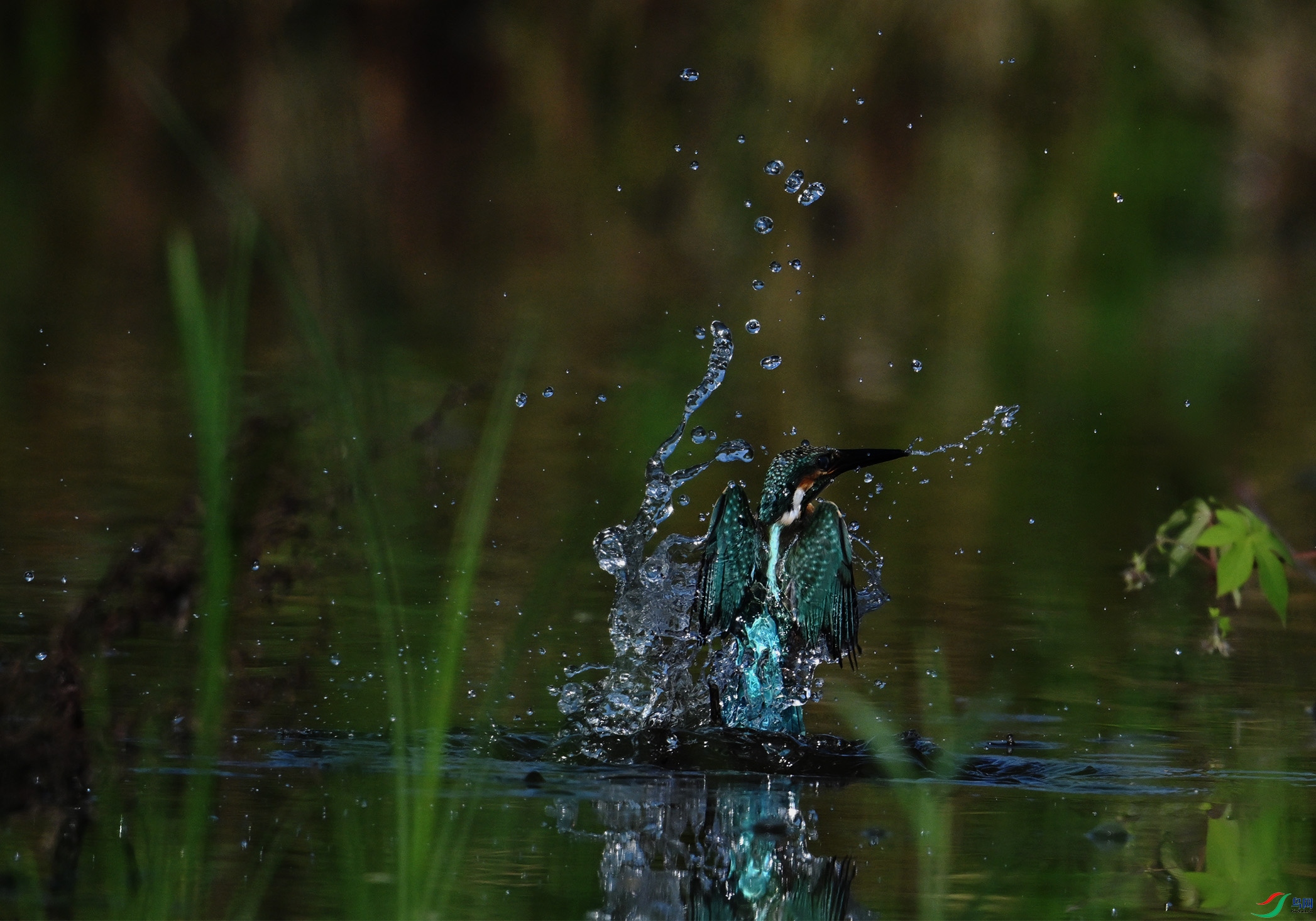 ��ˮ��һ��