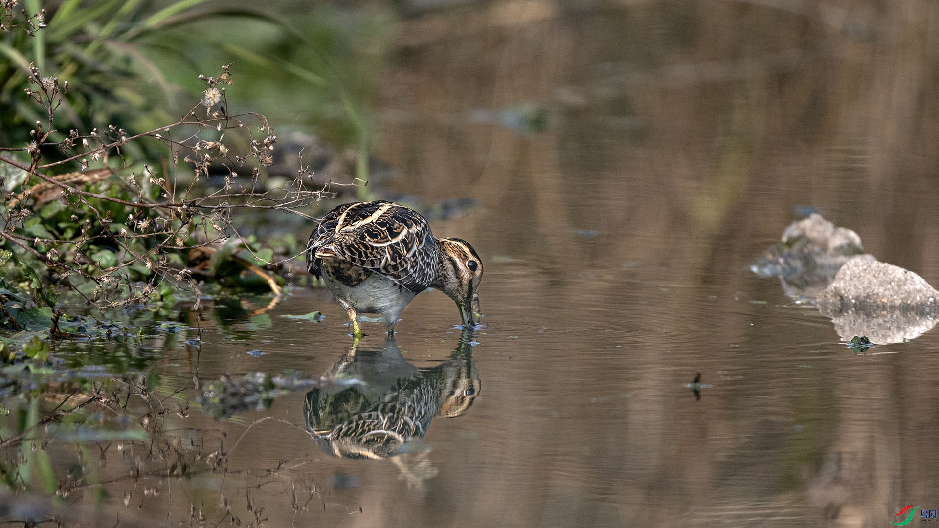 DSC_5496.jpg