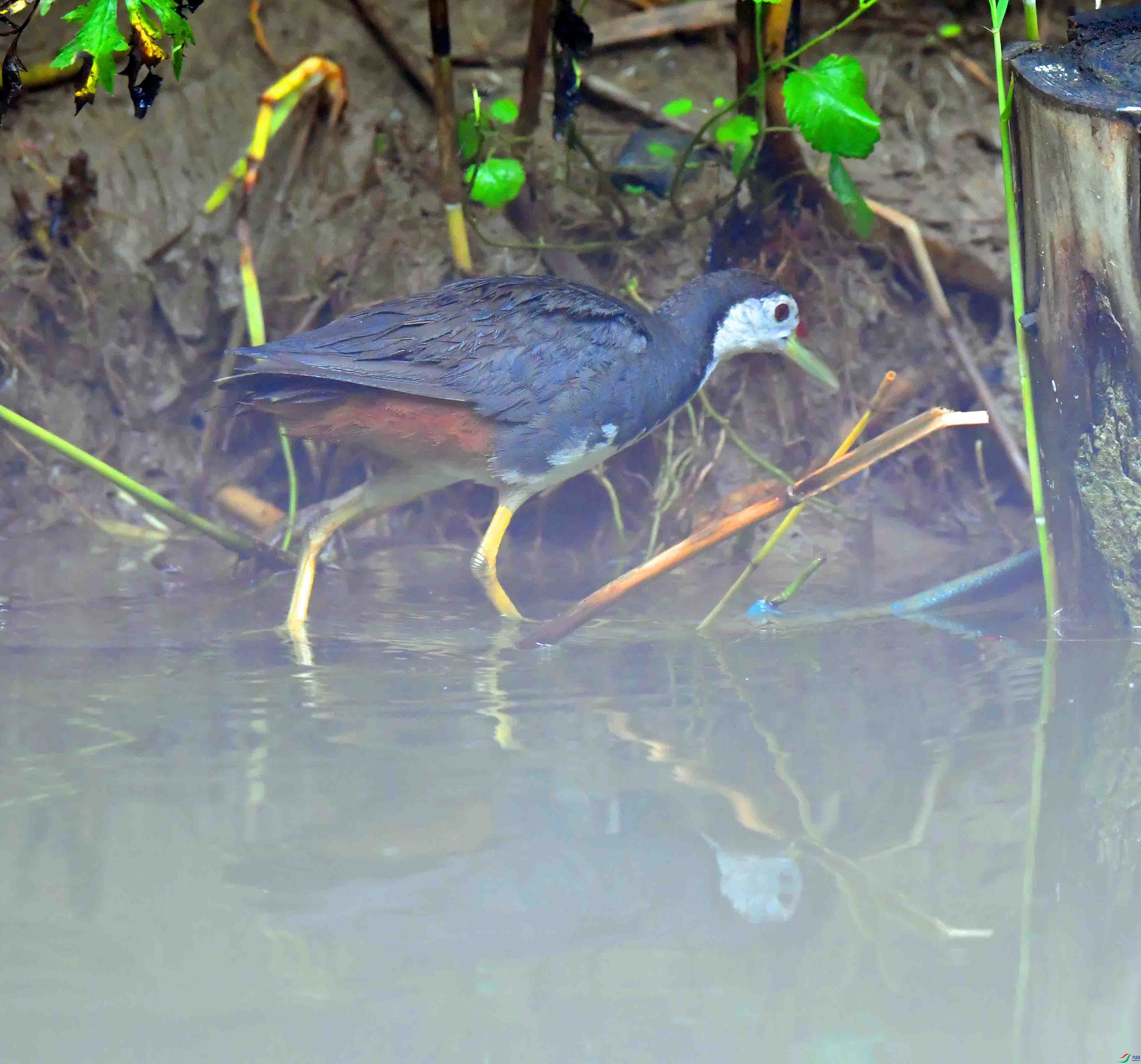 DSC_4581.JPG
