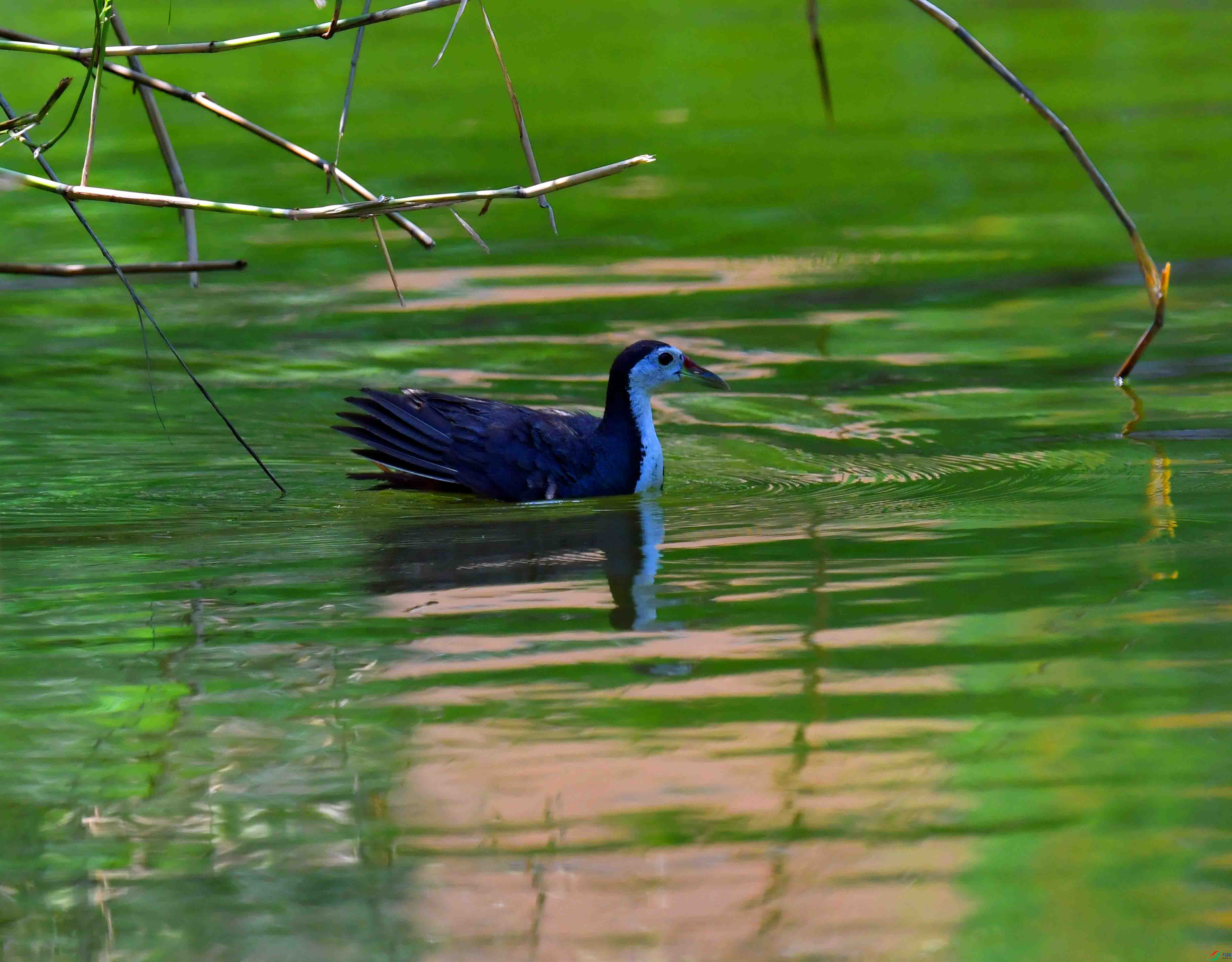 DSC_5128.JPG