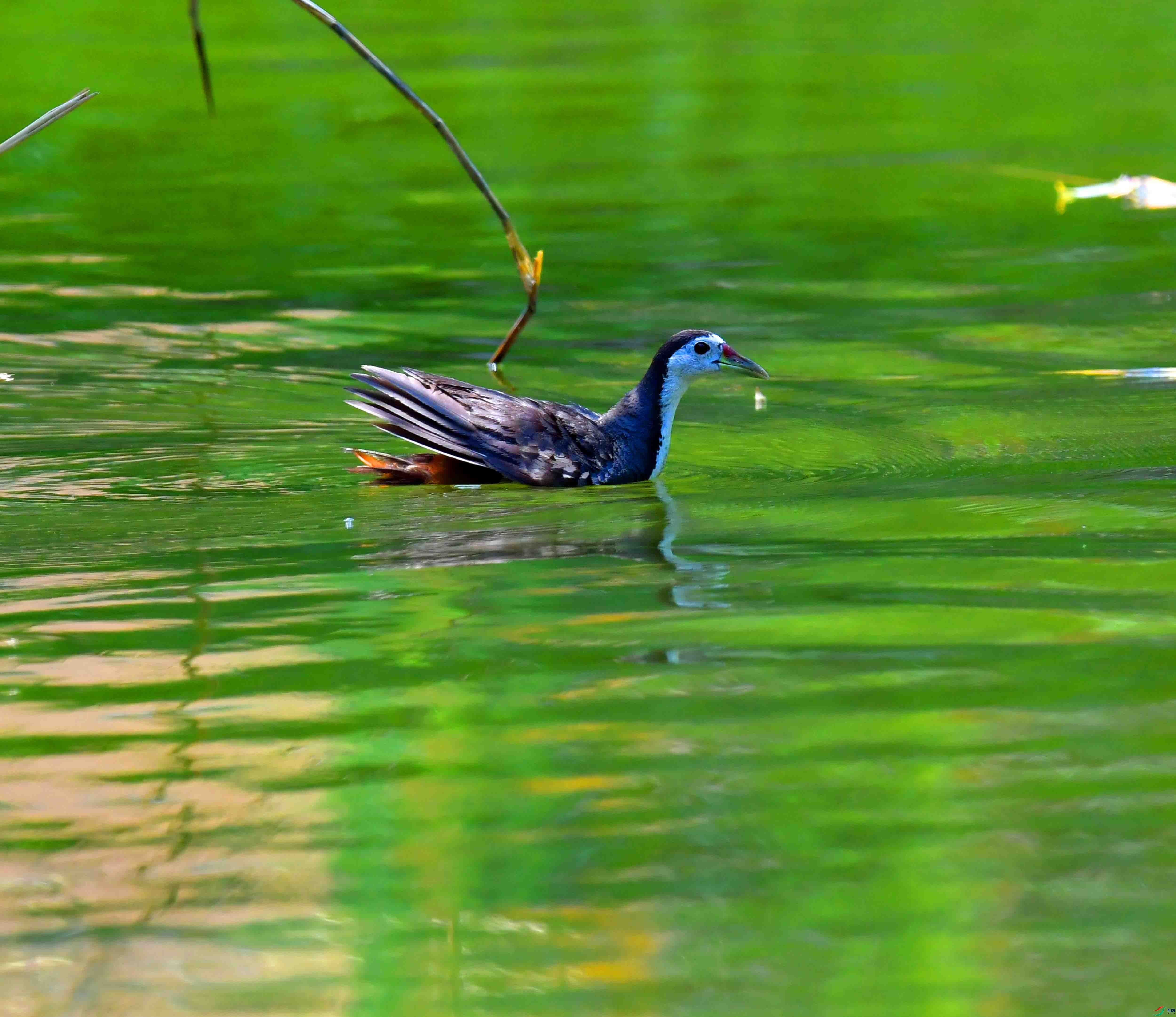 DSC_5130.JPG