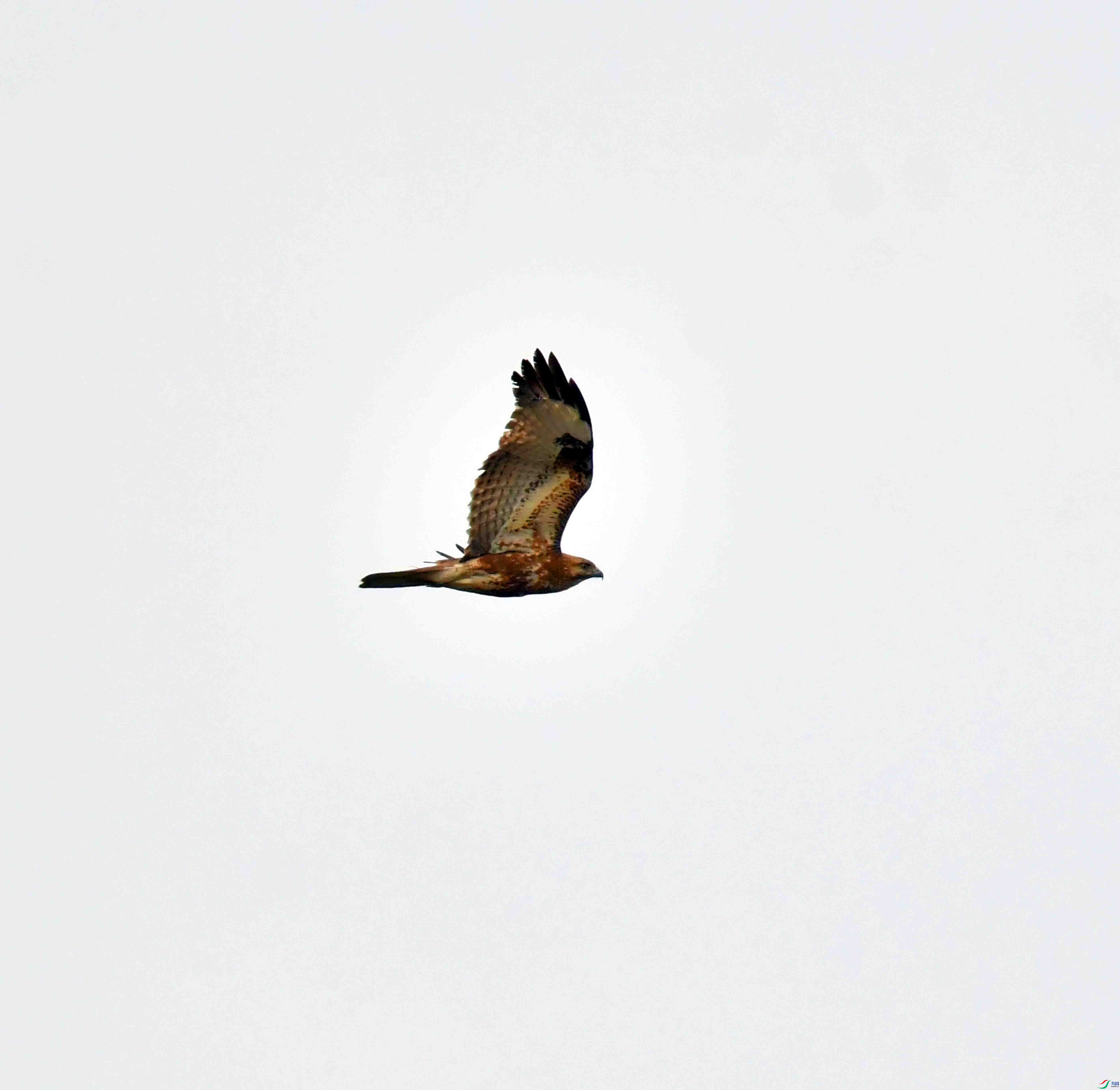 DSC_5617.JPG