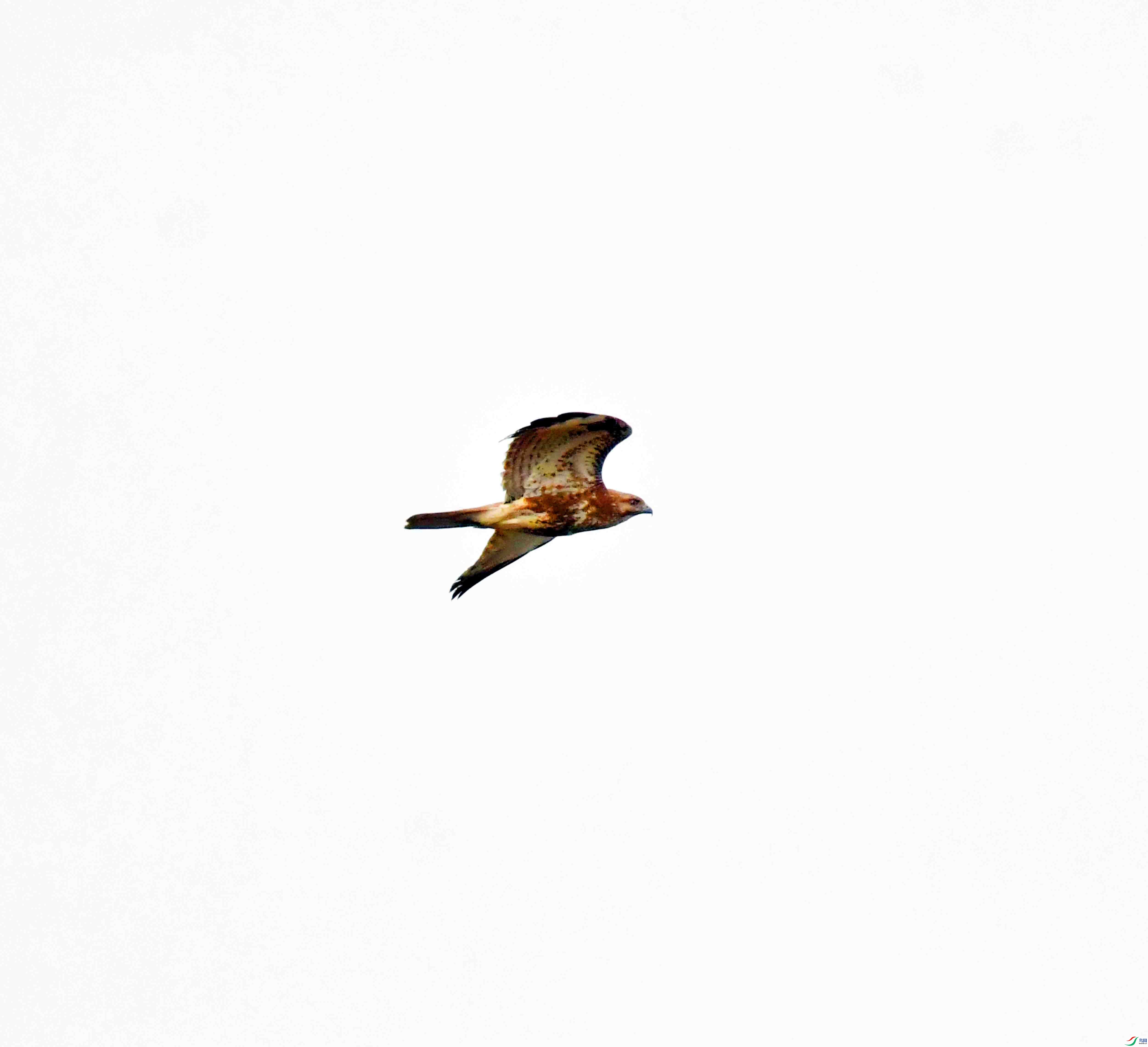 DSC_5616.JPG