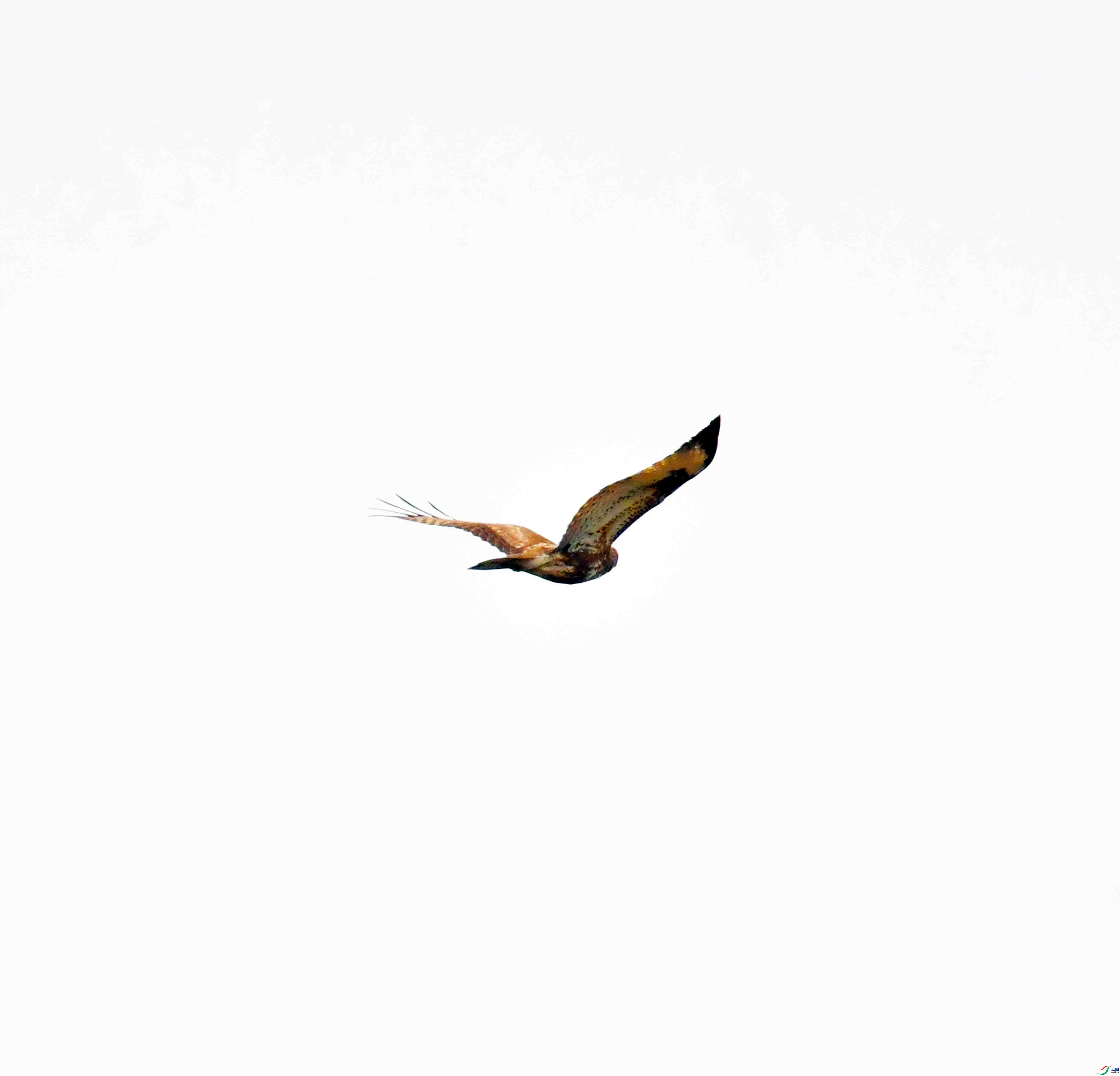 DSC_5621.JPG