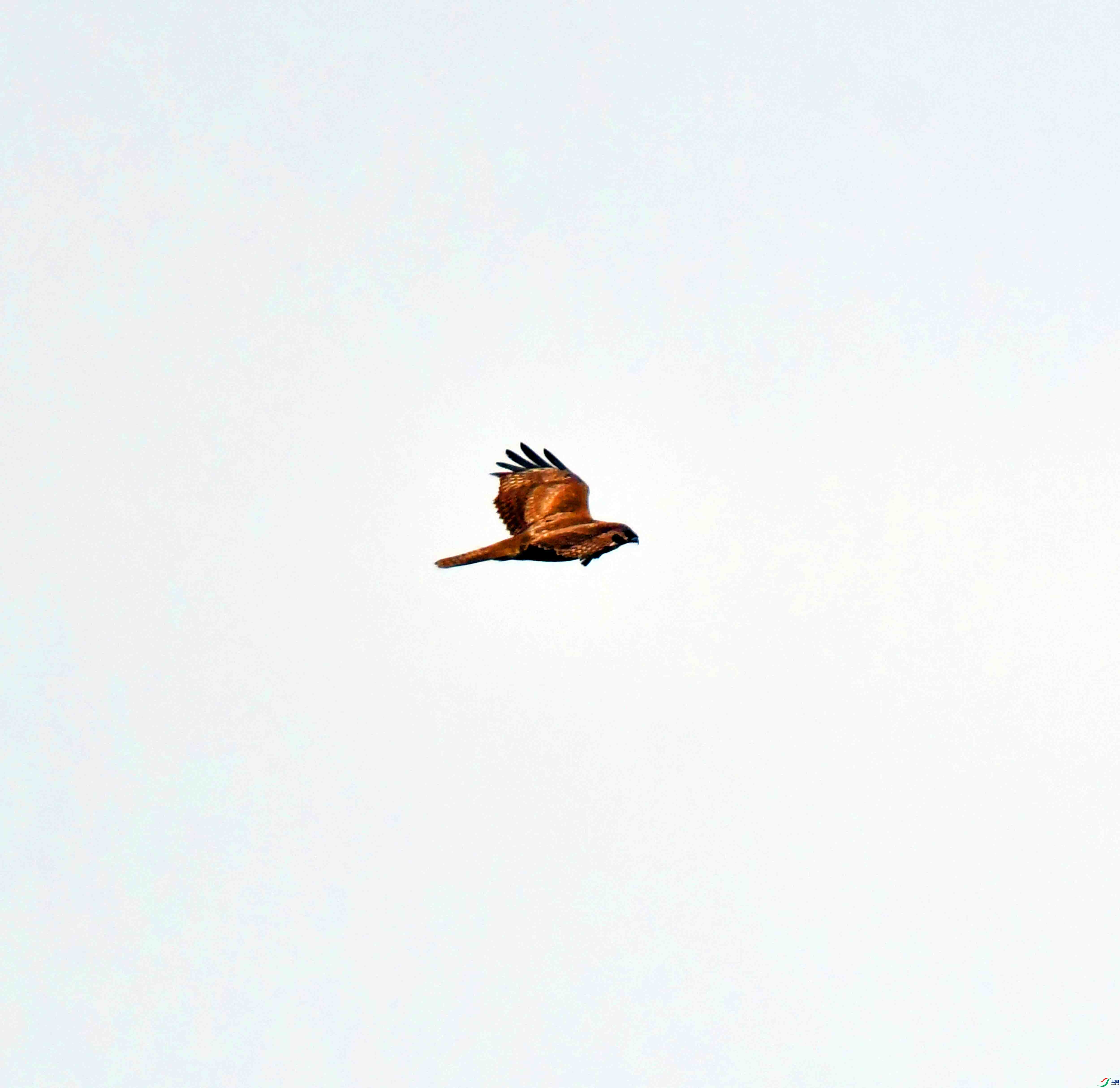 DSC_5624.JPG