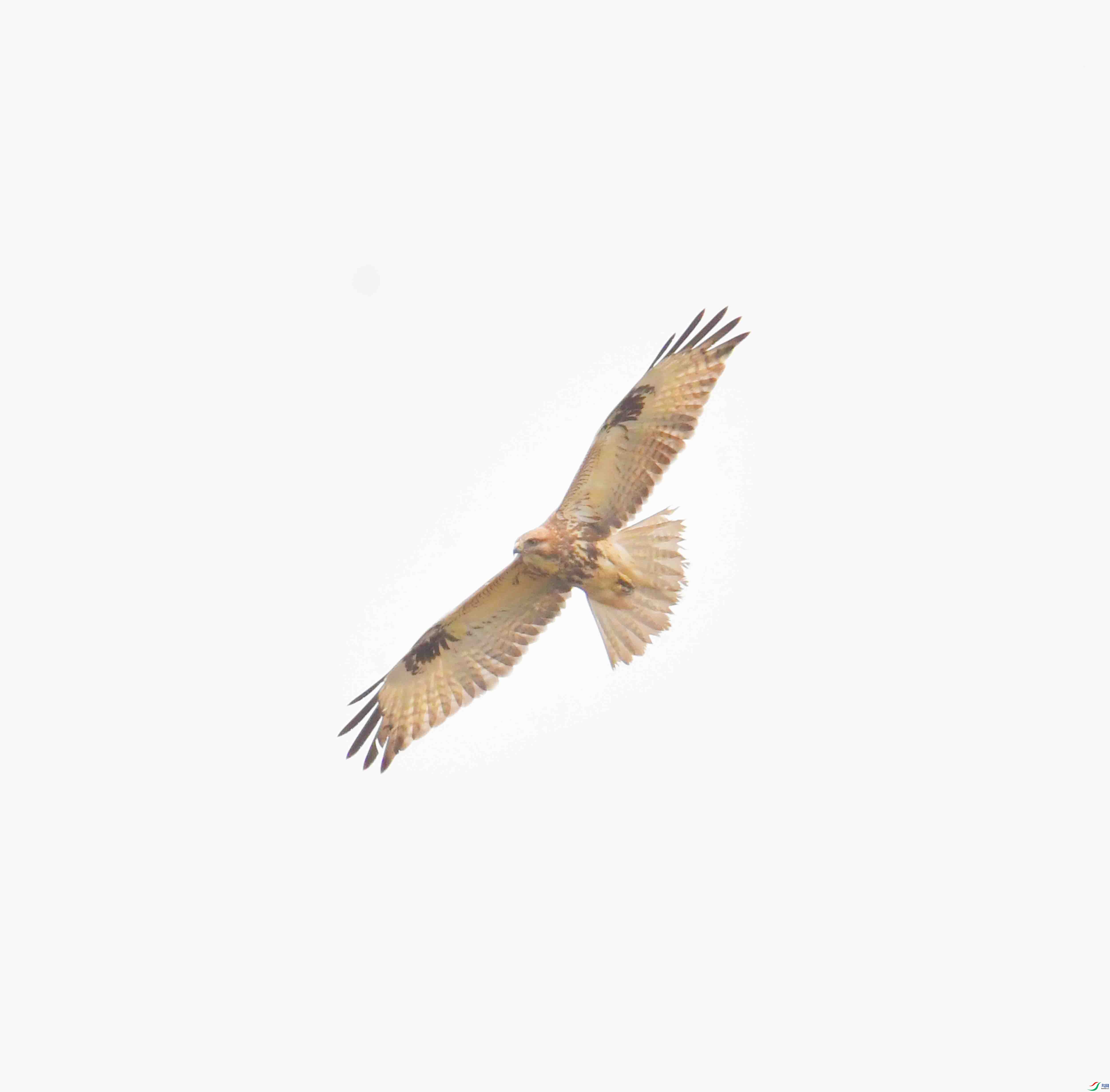DSC_8987.JPG