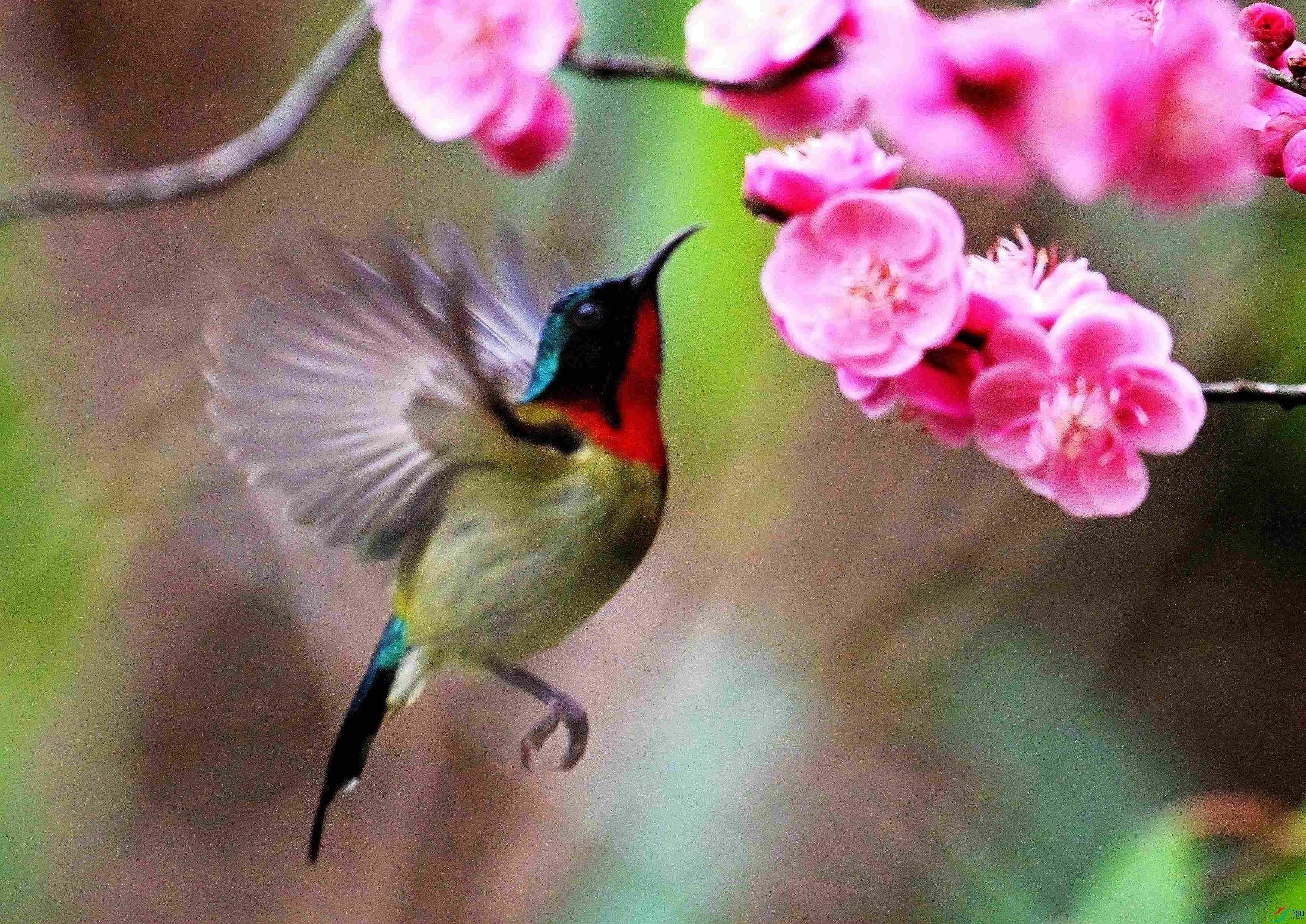 DSC_9425.jpg