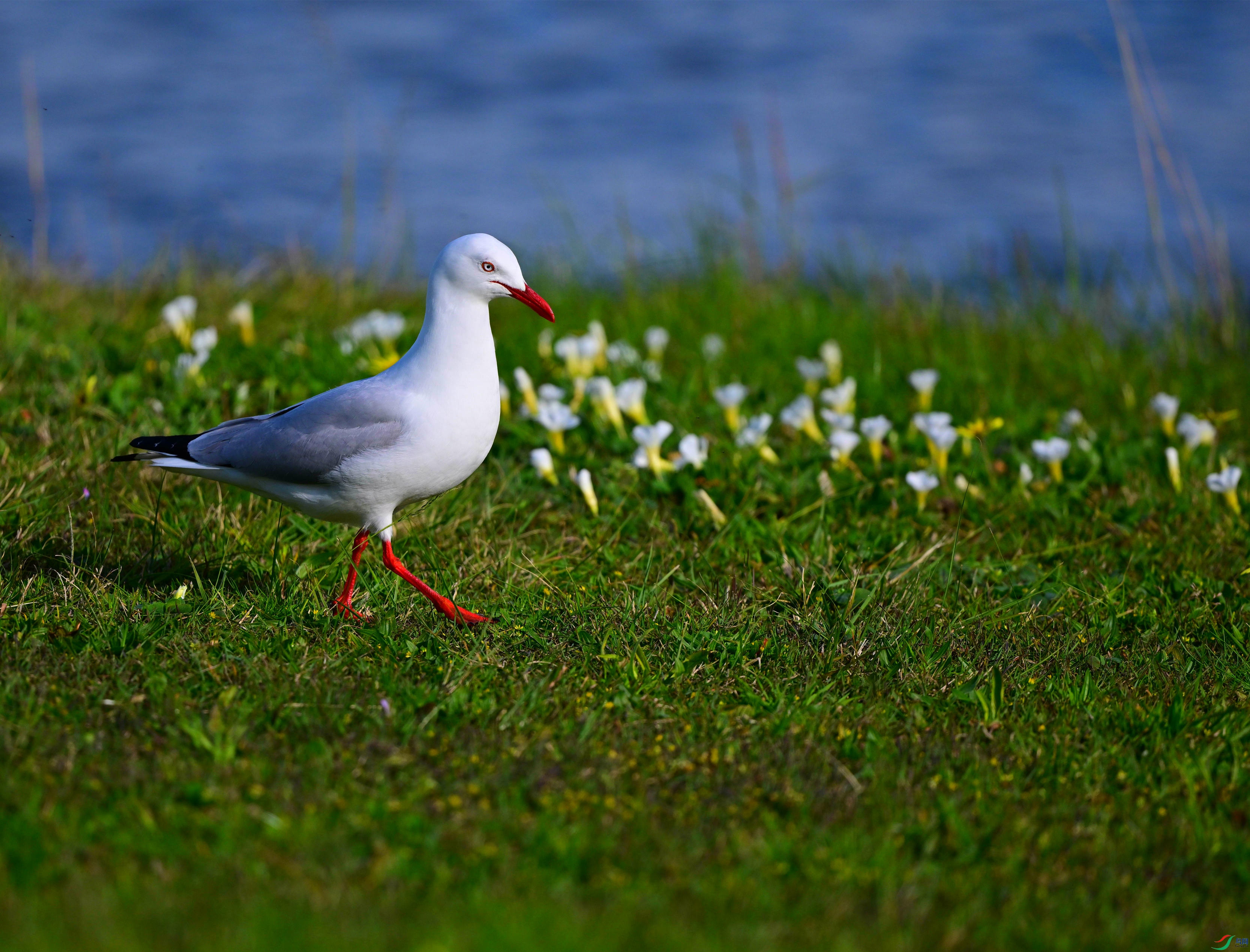 DSC_1140_��ͼ��_����333.jpg
