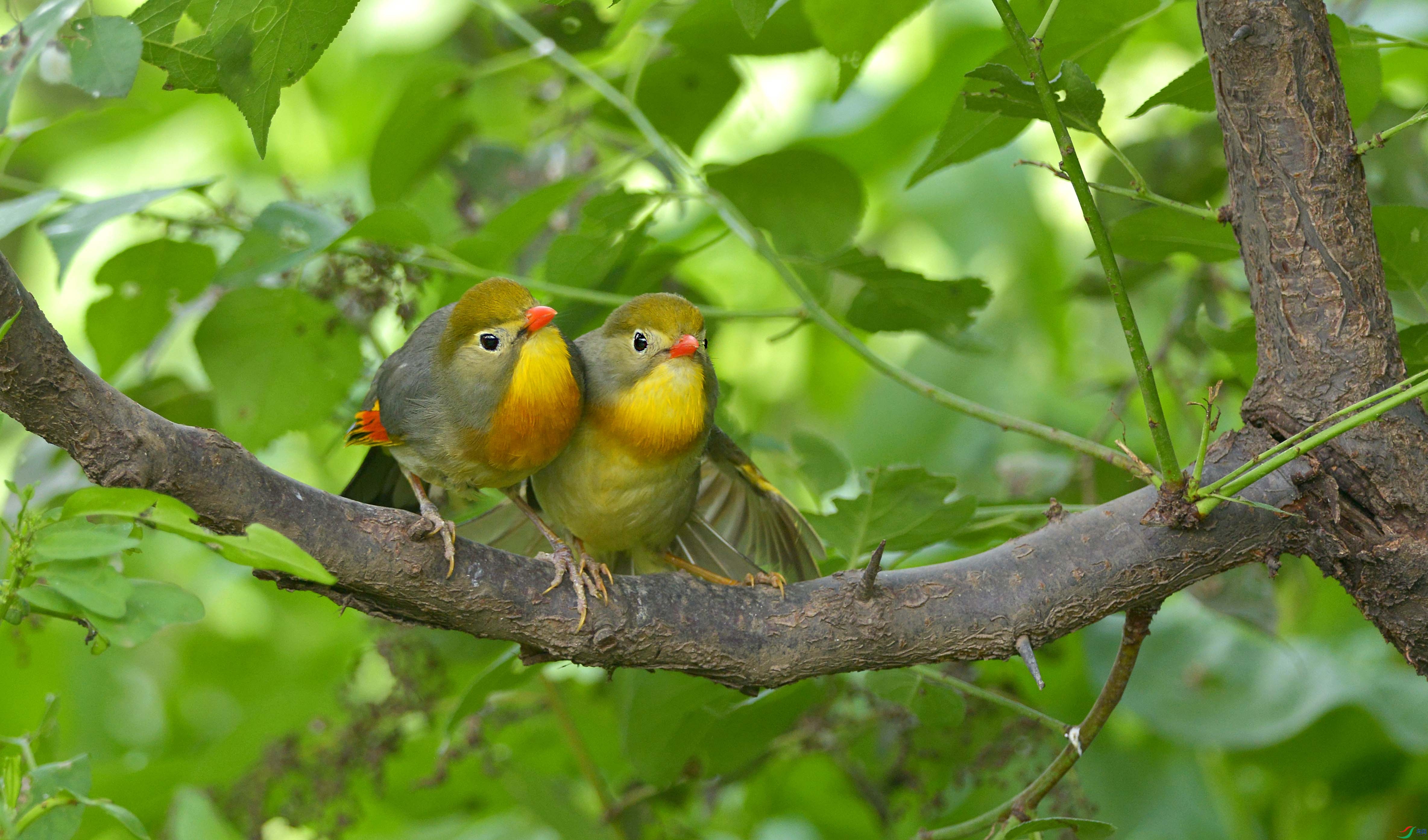 DSC_4018.jpg
