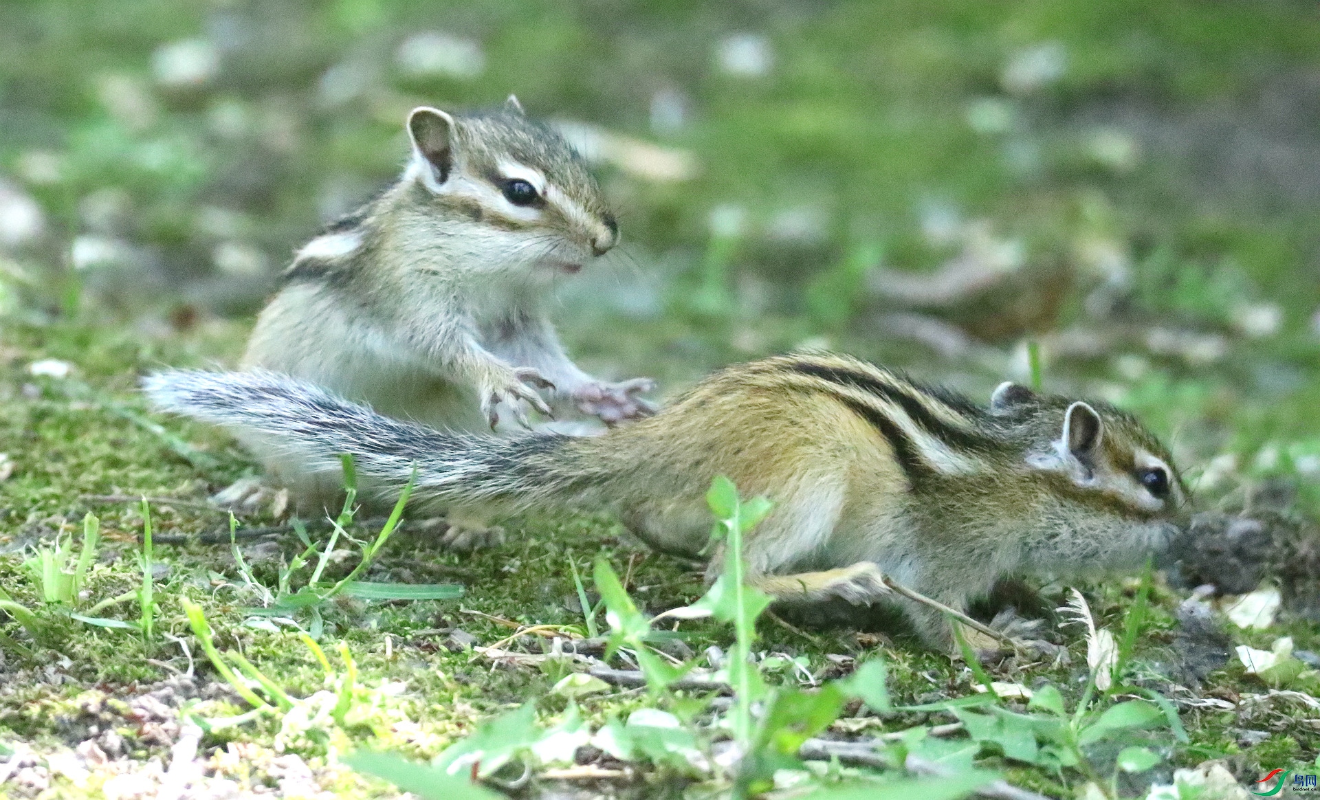 0G1A0946.JPG
