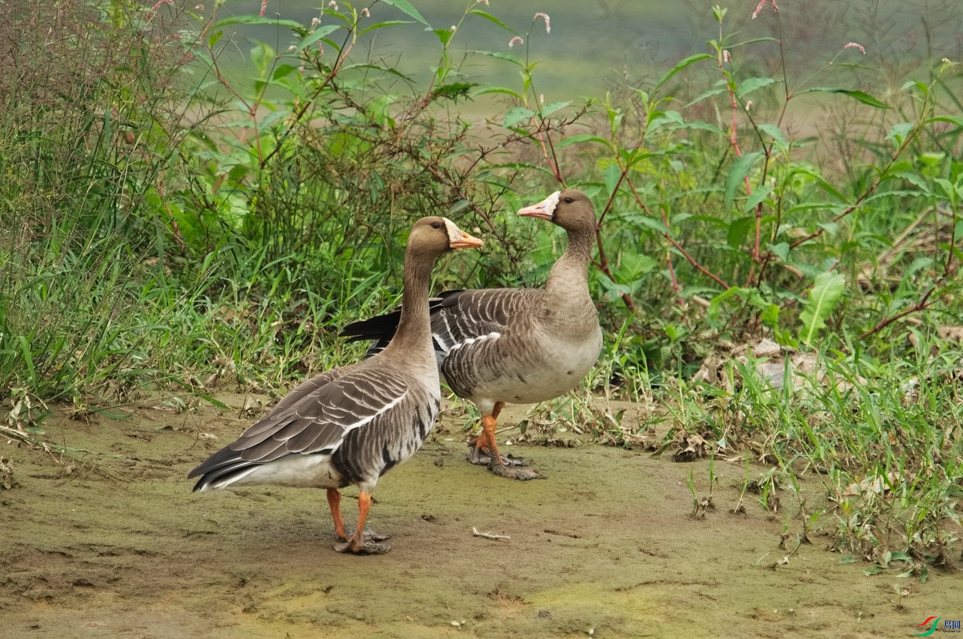 1DS_9088.jpg