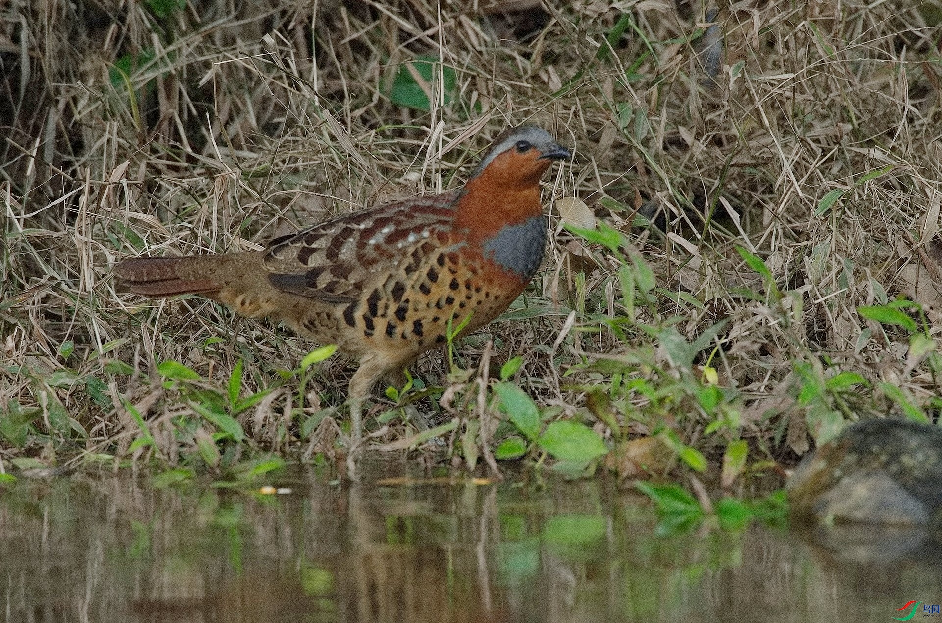 1DS_7819.jpg