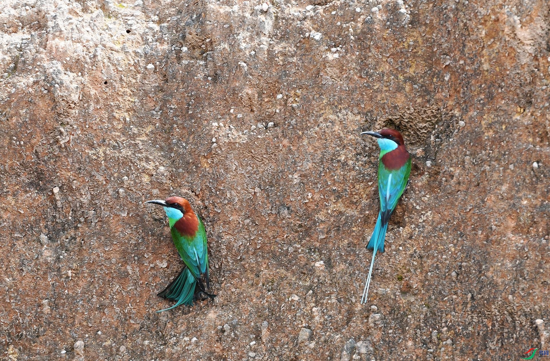 DSC_1518.jpg