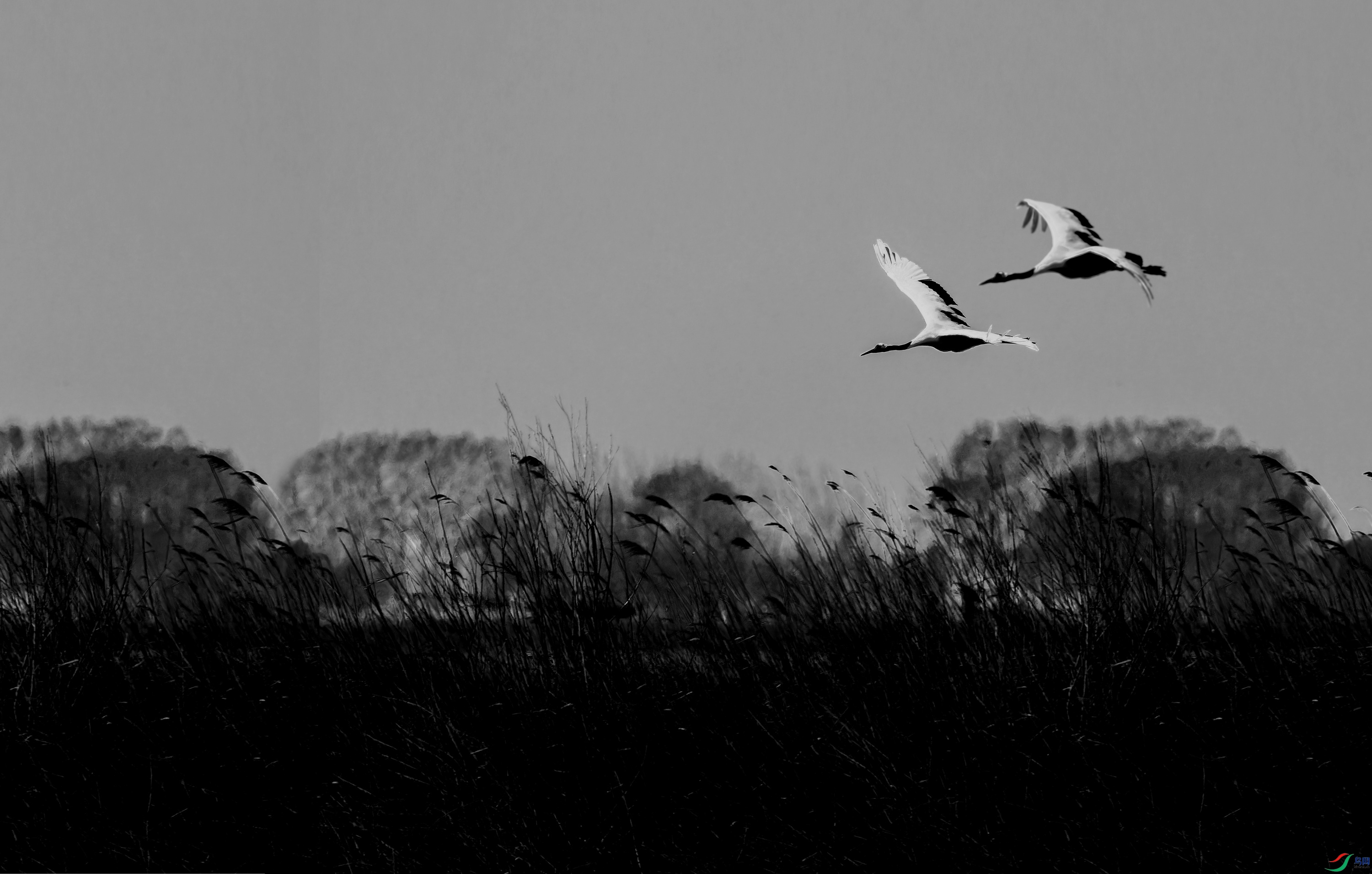 ������ (3)-01.jpg