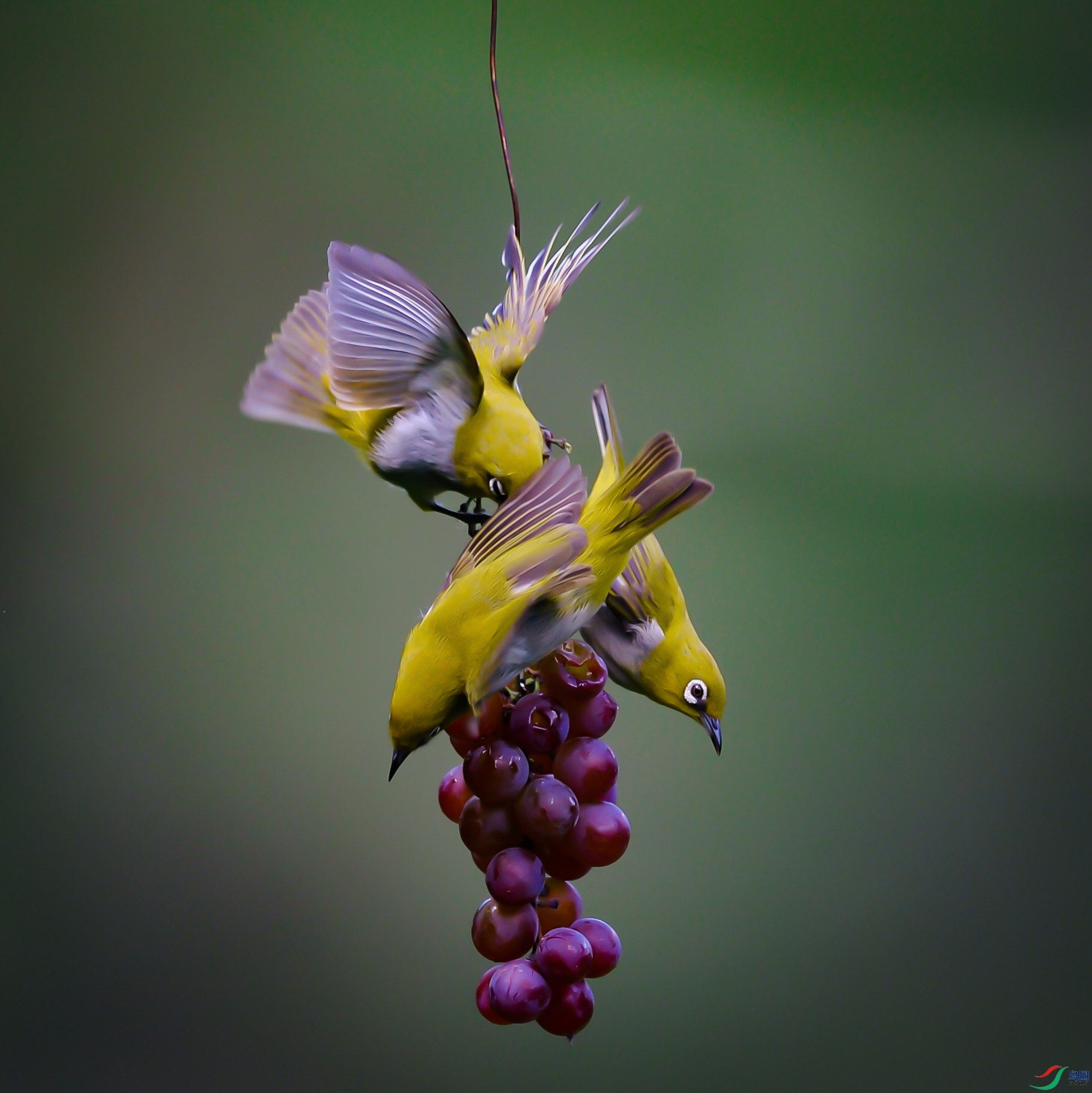 DSC_6049.jpg