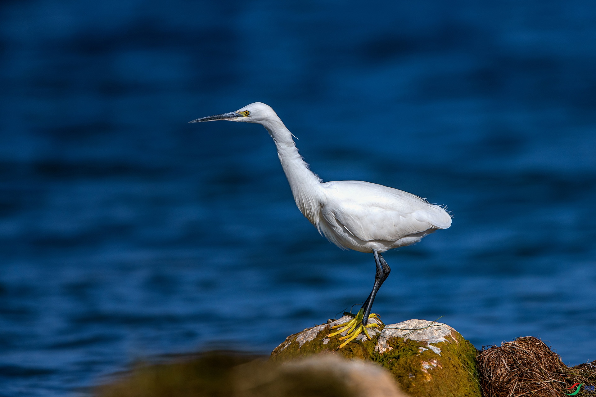 _AUU4910С����(24.2.1).jpg