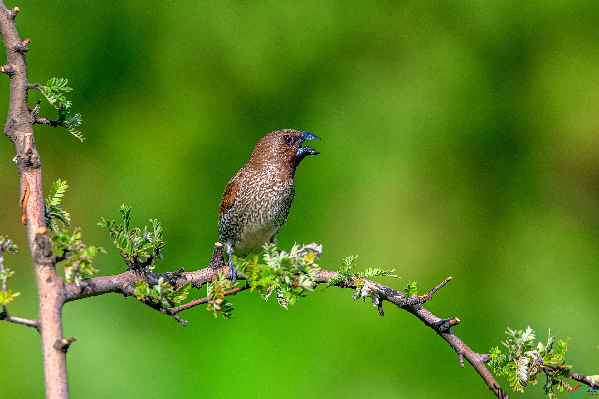 _AUU6305 ������(25.7.7).jpg