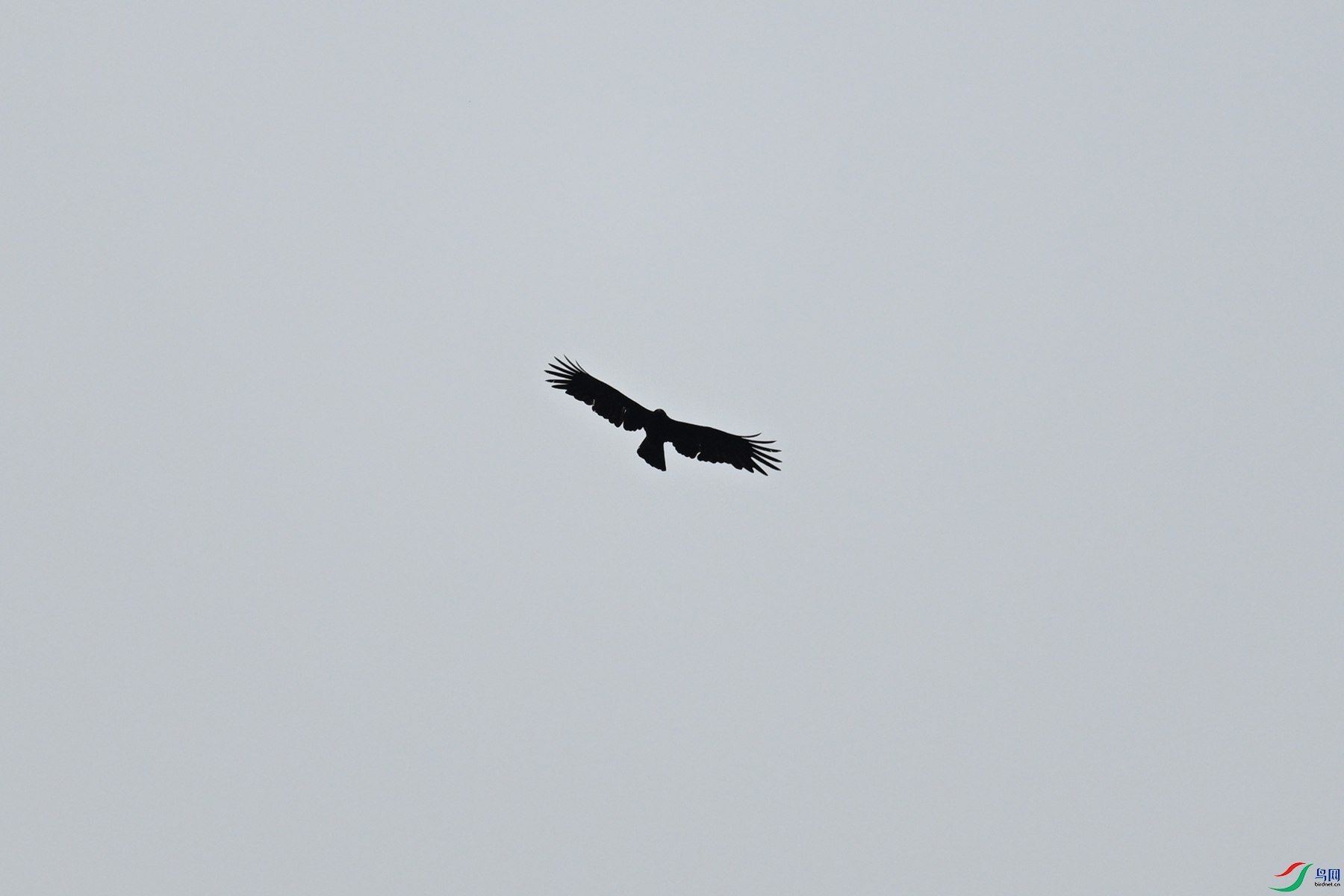 DSC_8524.JPG