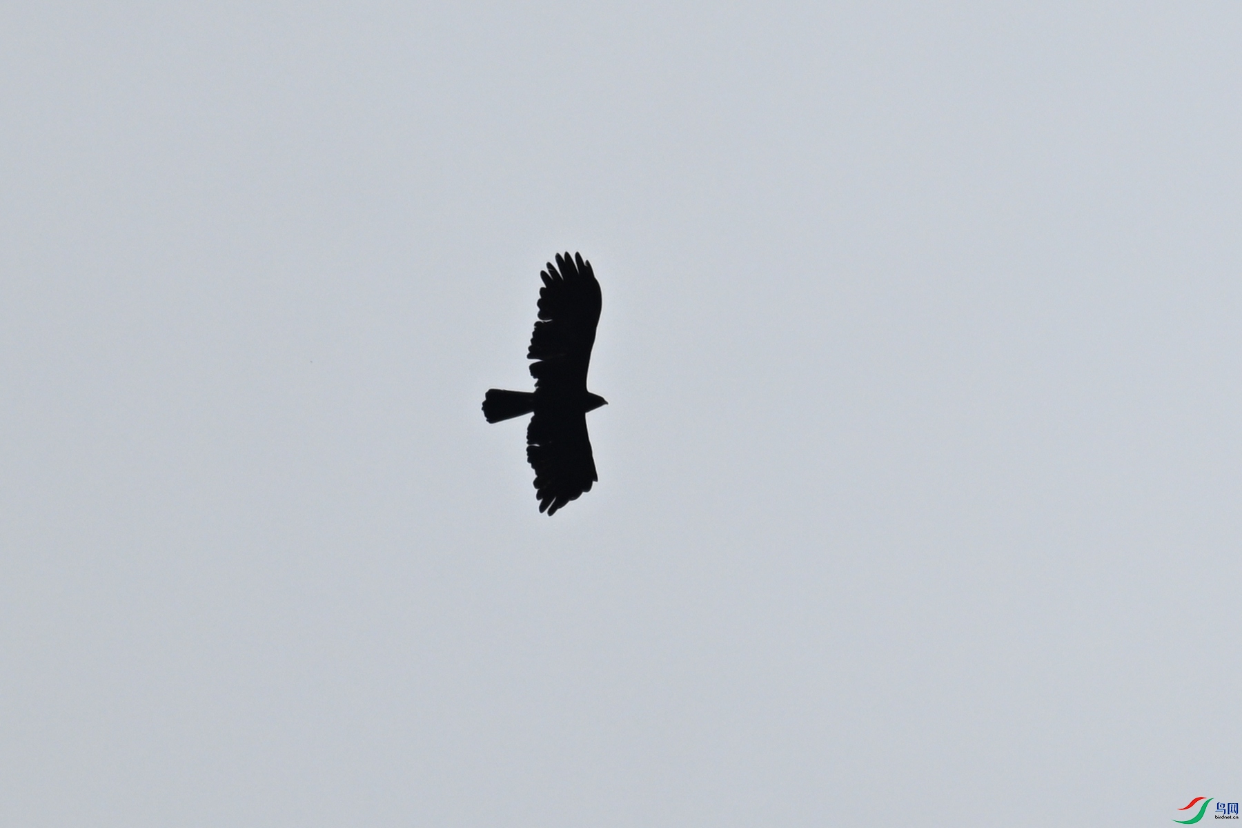 DSC_8526.JPG