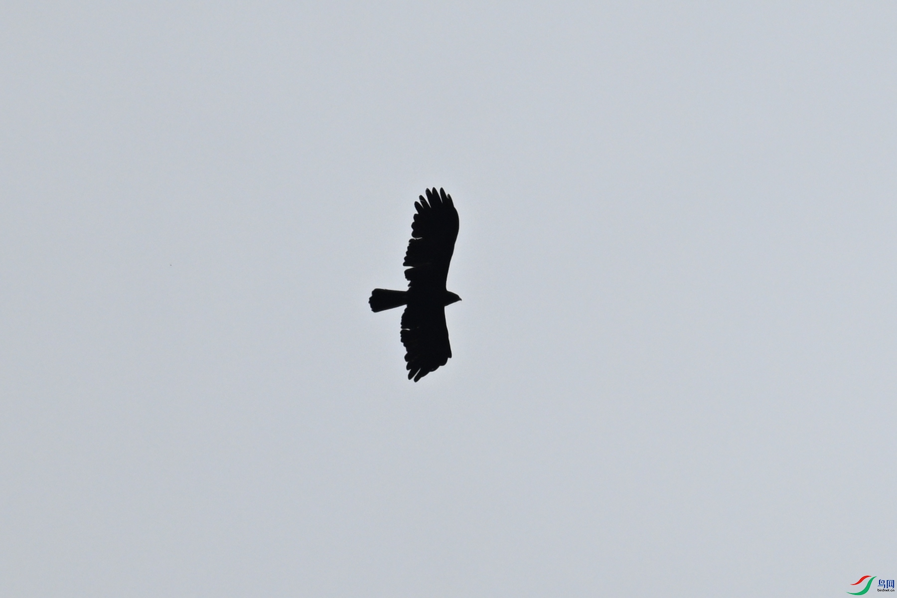 DSC_8527.JPG