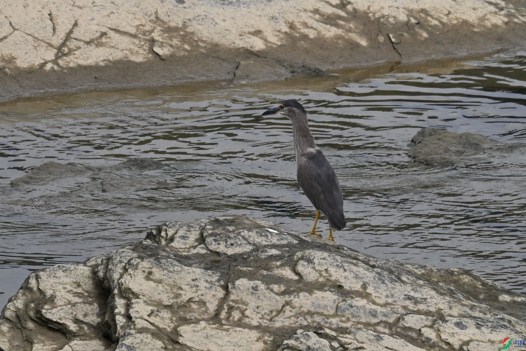 DSC_8497.JPG