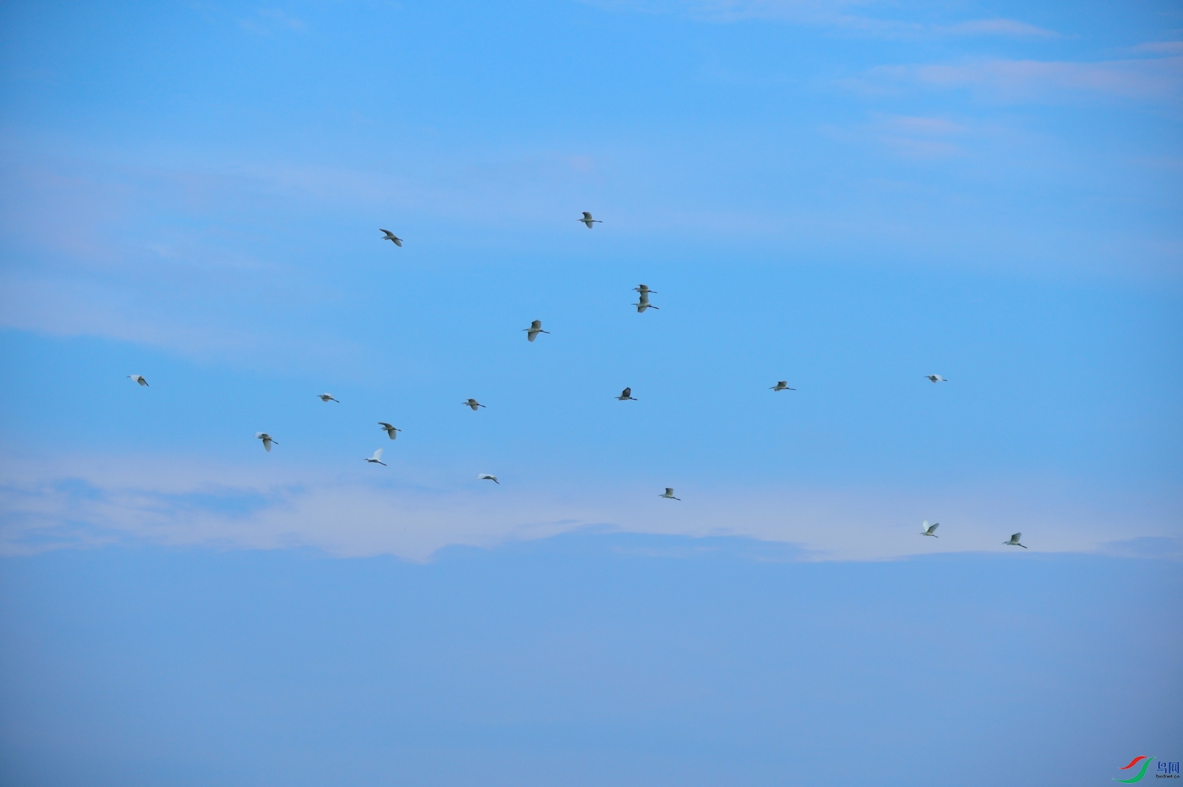 DSC_2323_����.jpg