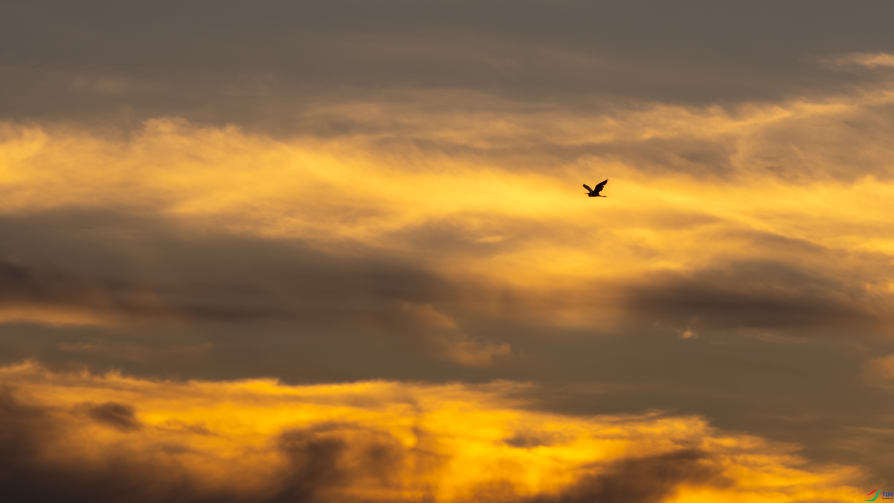 DSC08230-1.jpg