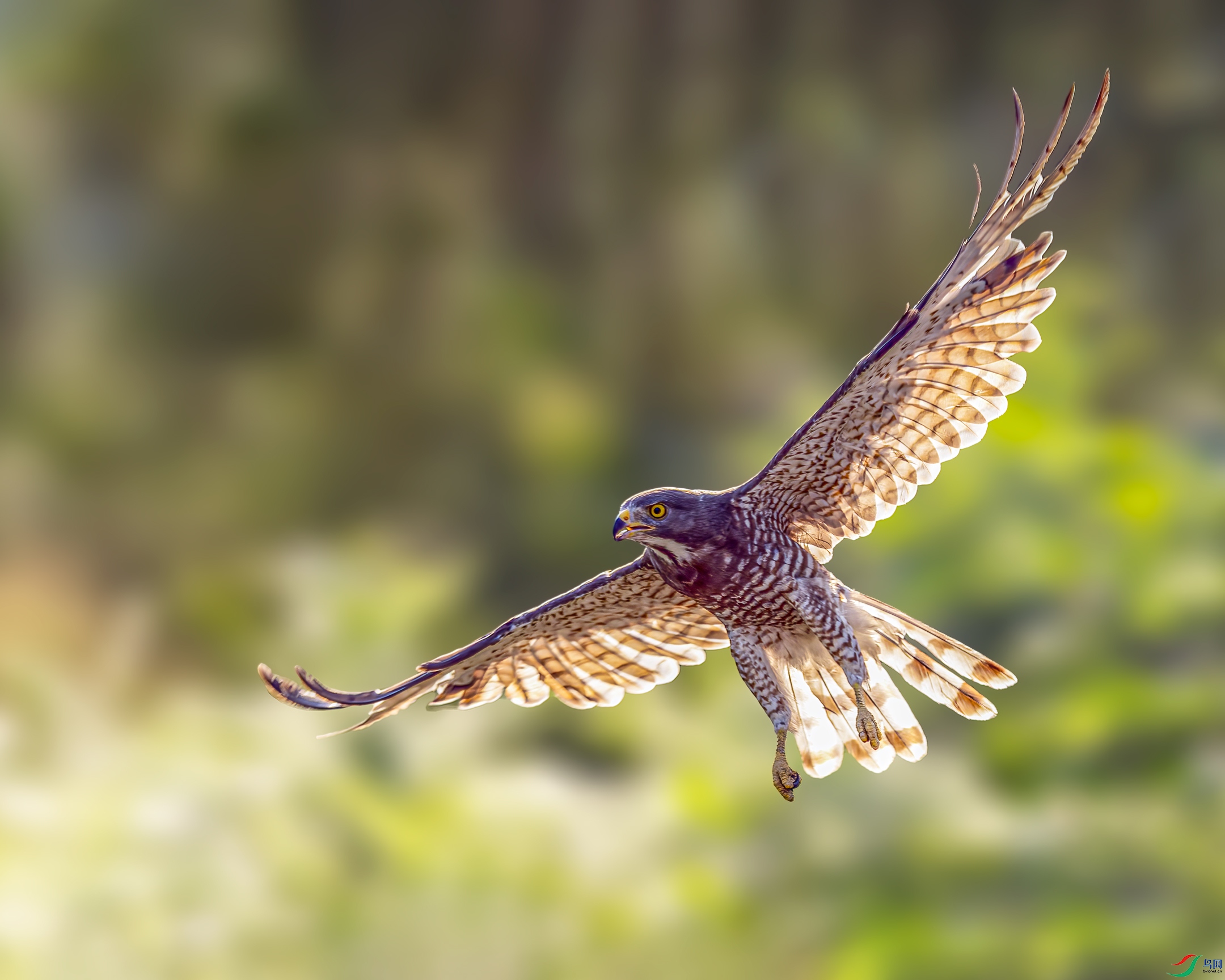 ��һ������