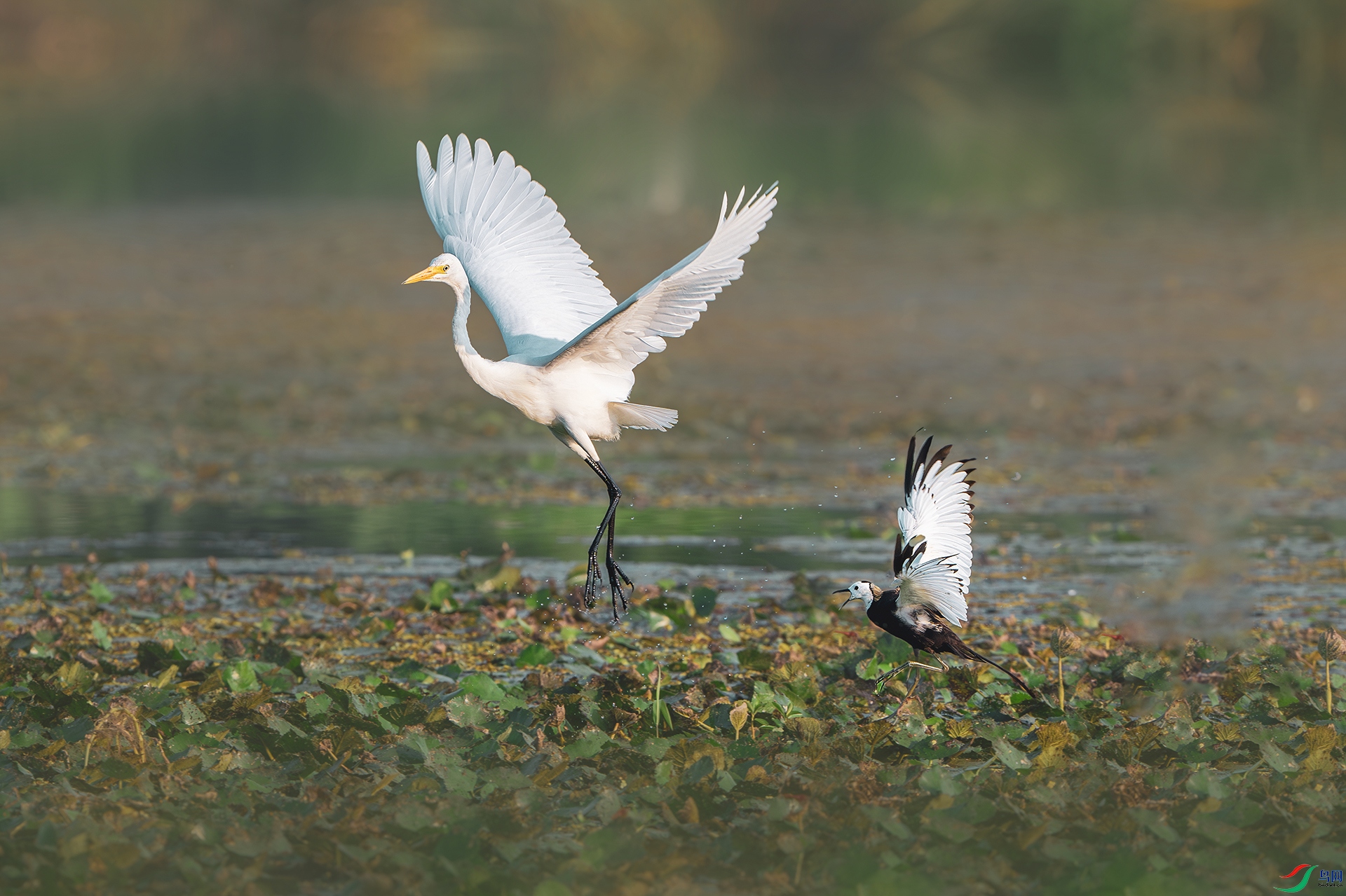 _DSC0755 ����С.jpg