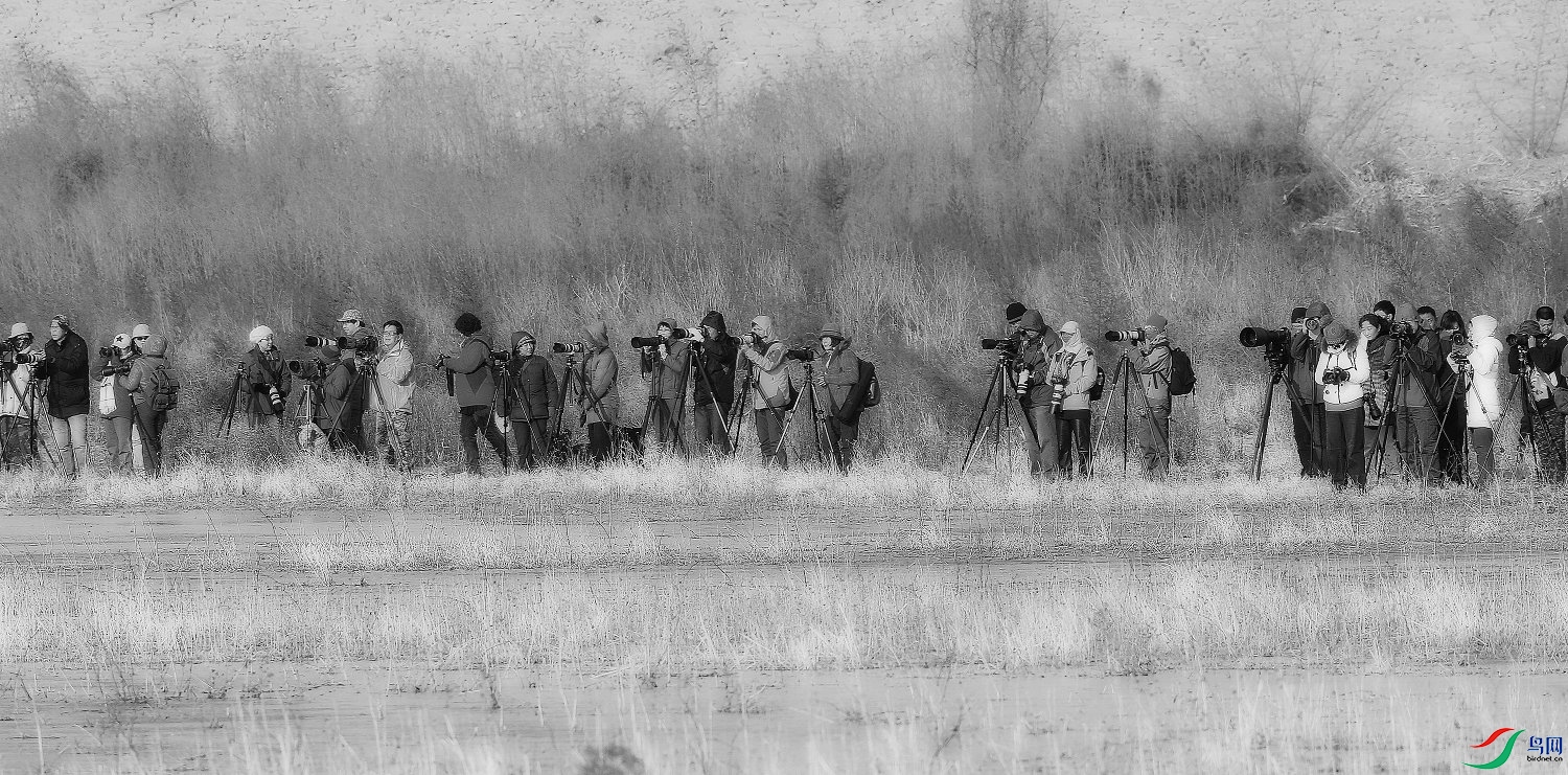 ��Ƭ 279_��.jpg