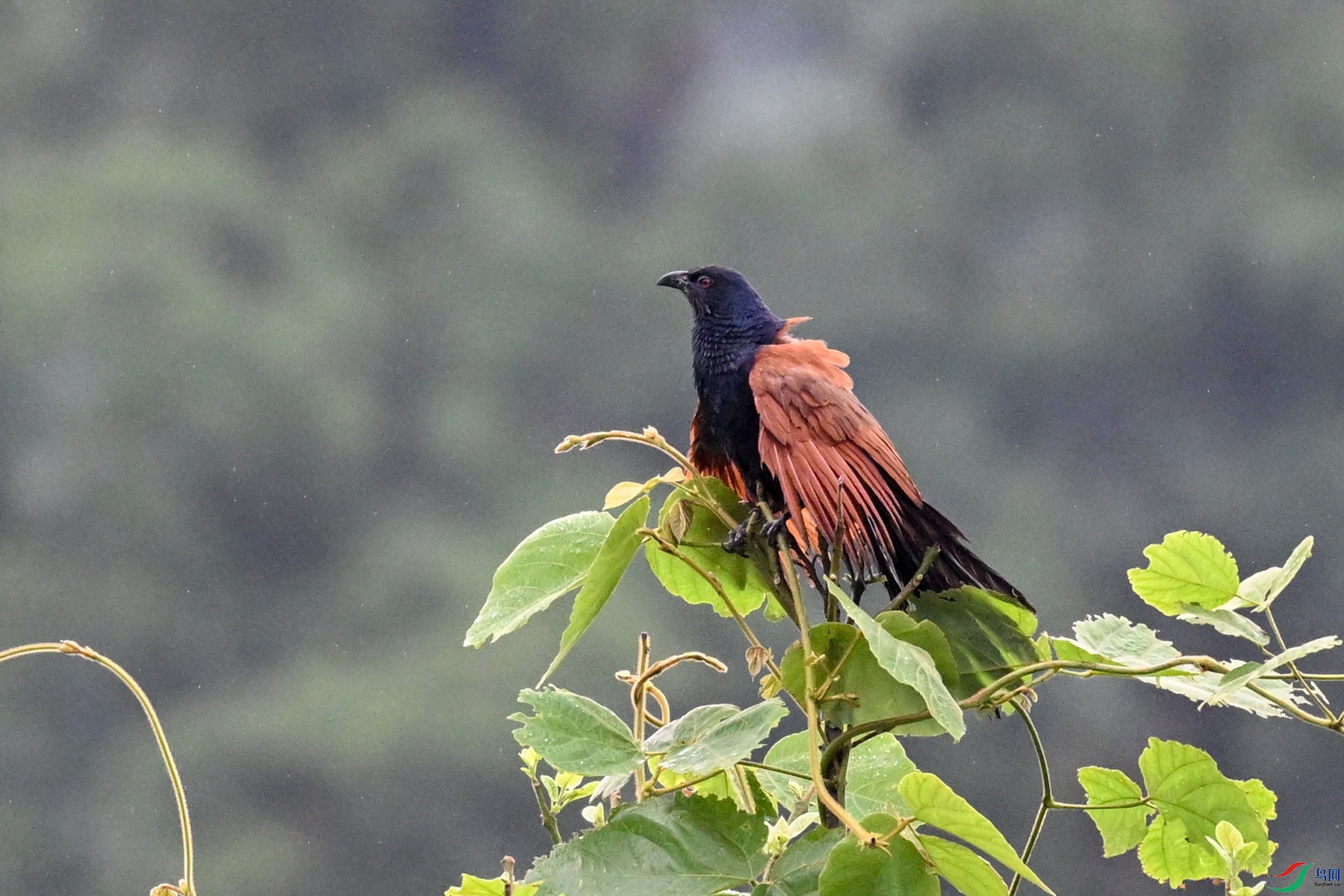 DSC_8426.JPG