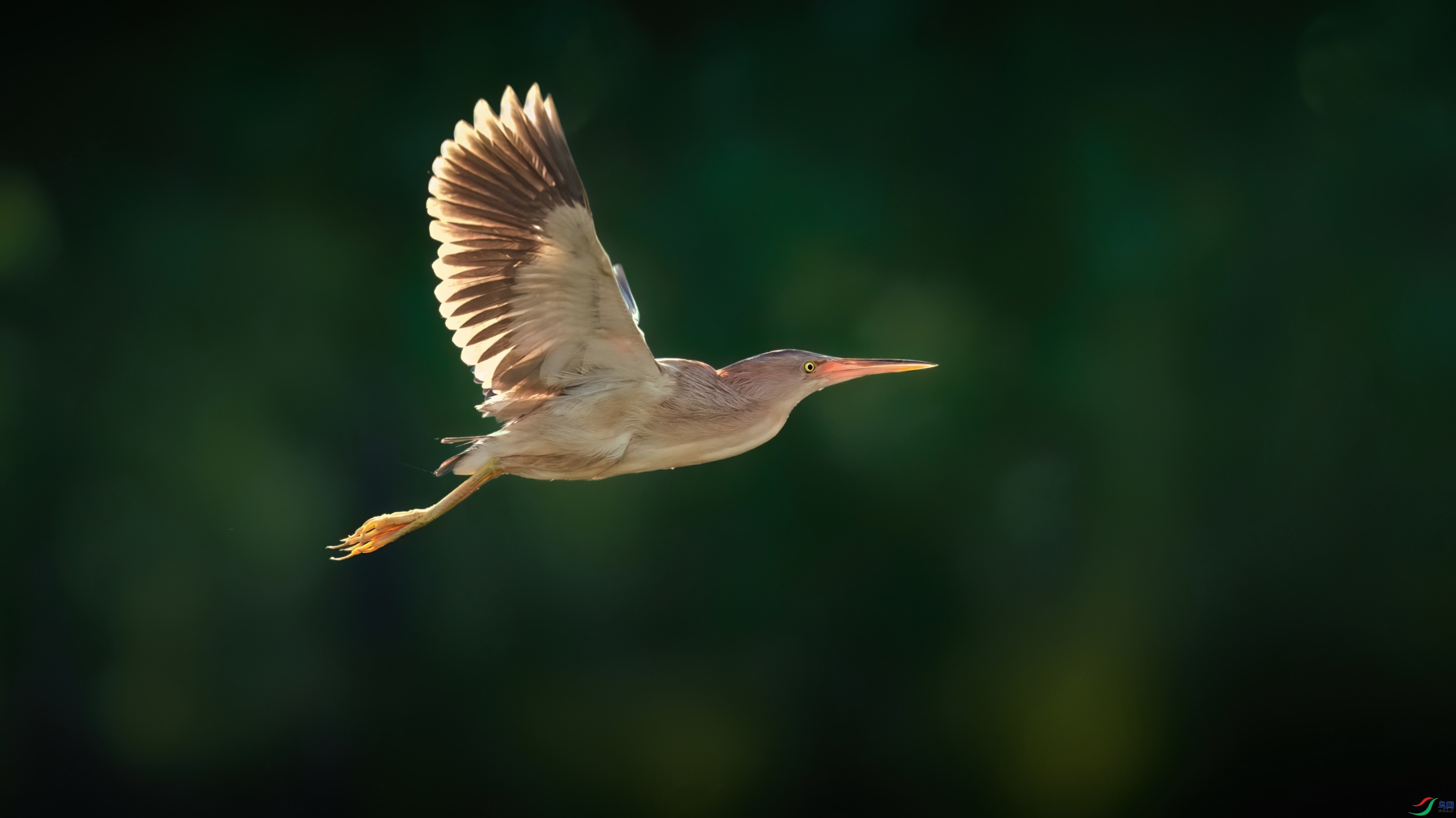 DSC03558_polarr (1).jpg