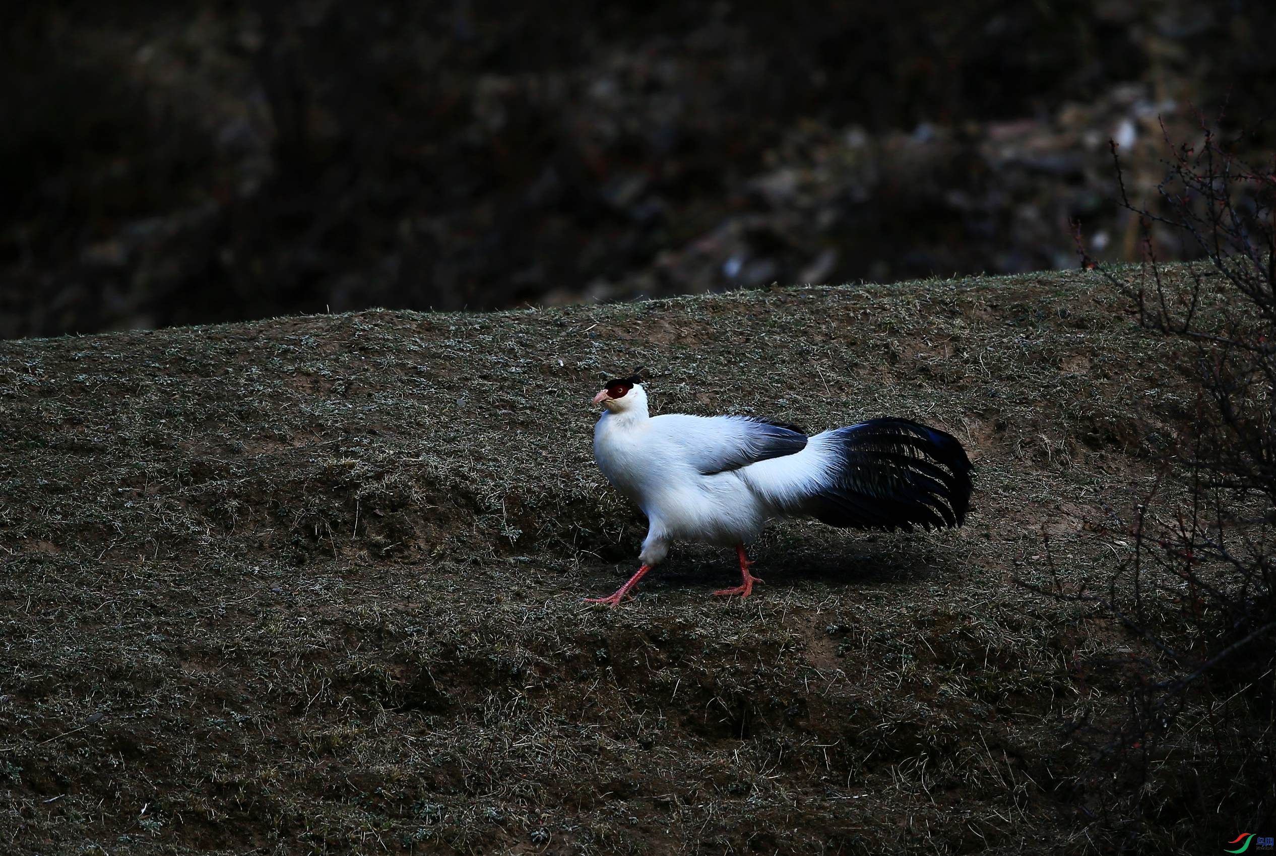 ������ (10).JPG