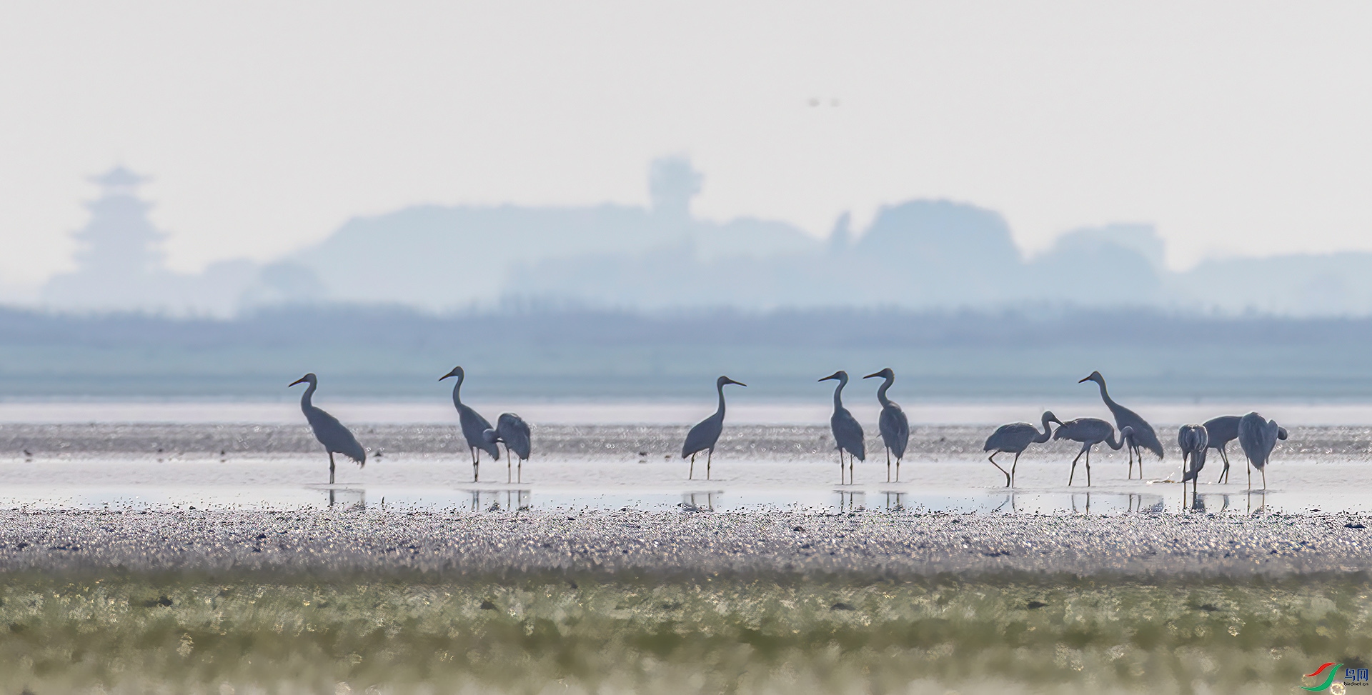 _07A7470 ����-Sh-----1 .jpg