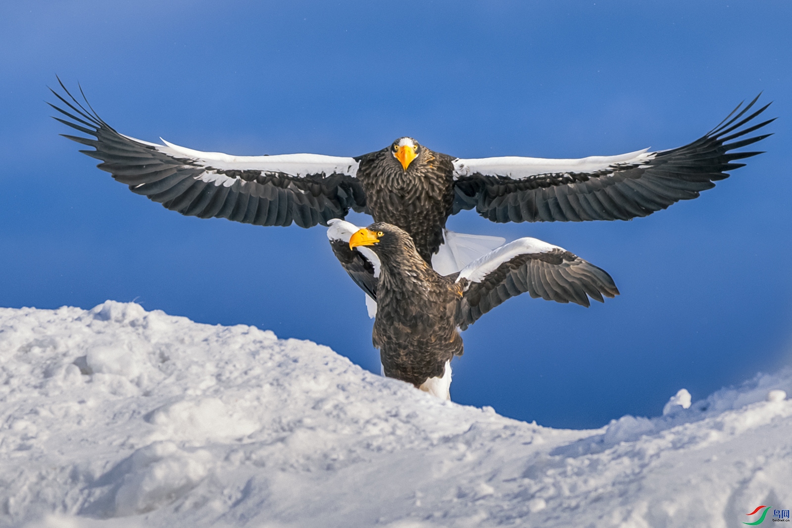 ��ͷ����----����ʱ��