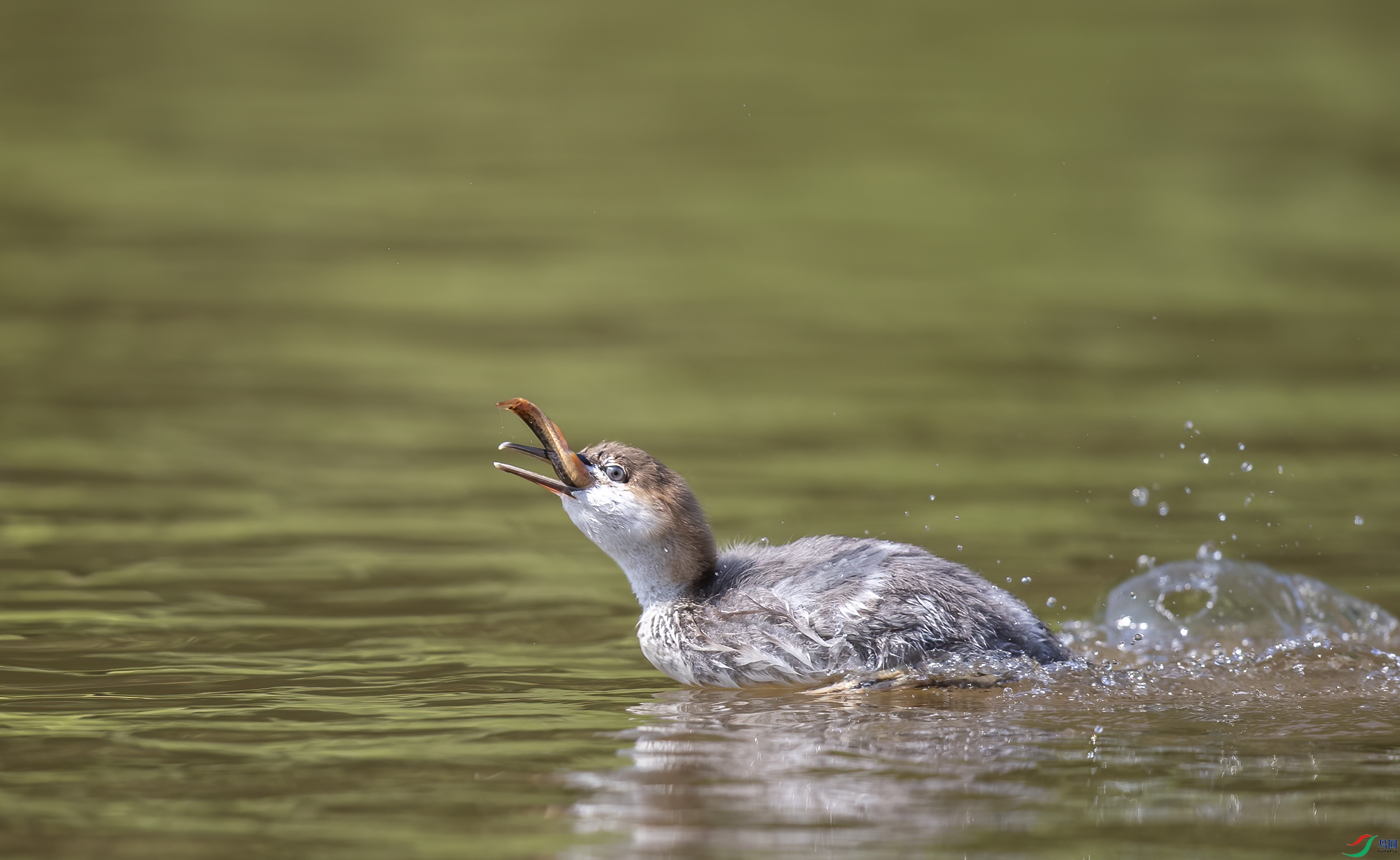 AC3I3951 ����.jpg