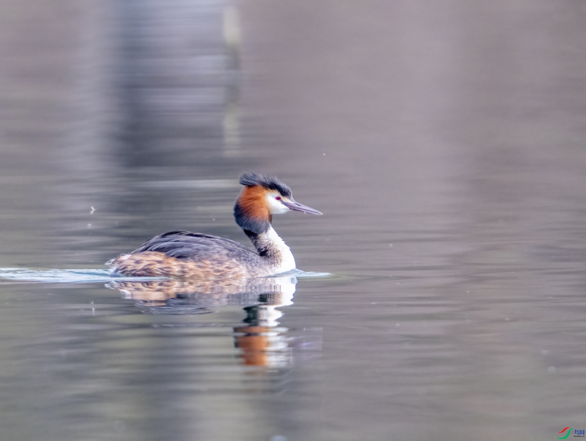 DSC_0985.jpg