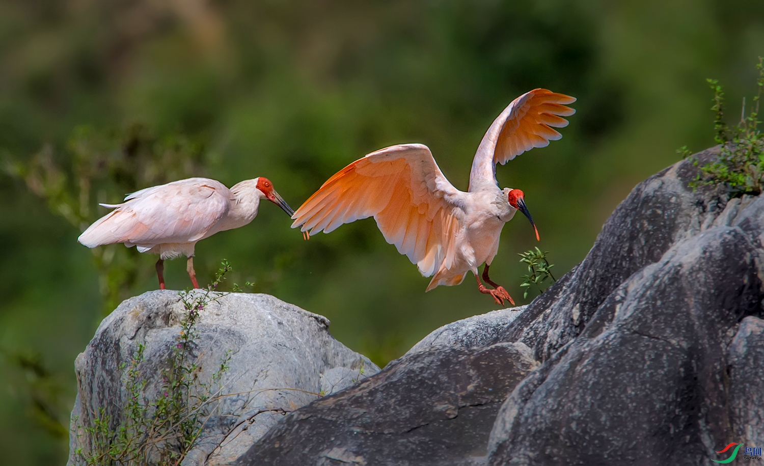 DSC_67071.jpg